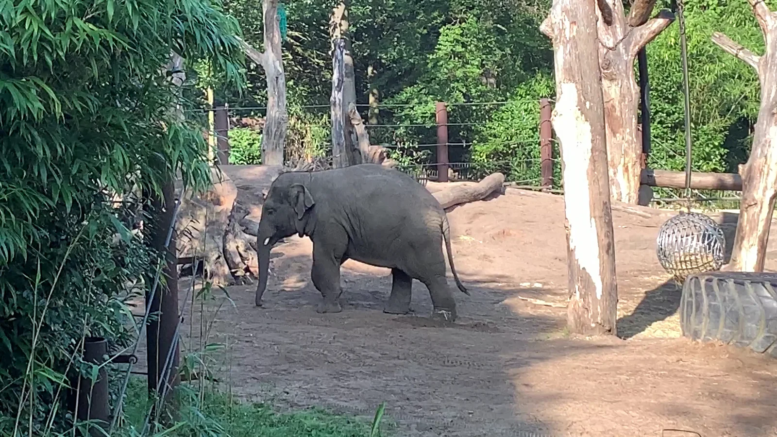 Family areas at DierenPark Amersfoort Amersfoort — family travel photo