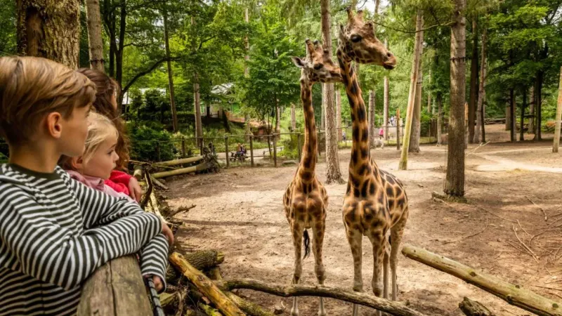 DierenPark Amersfoort in Amersfoort