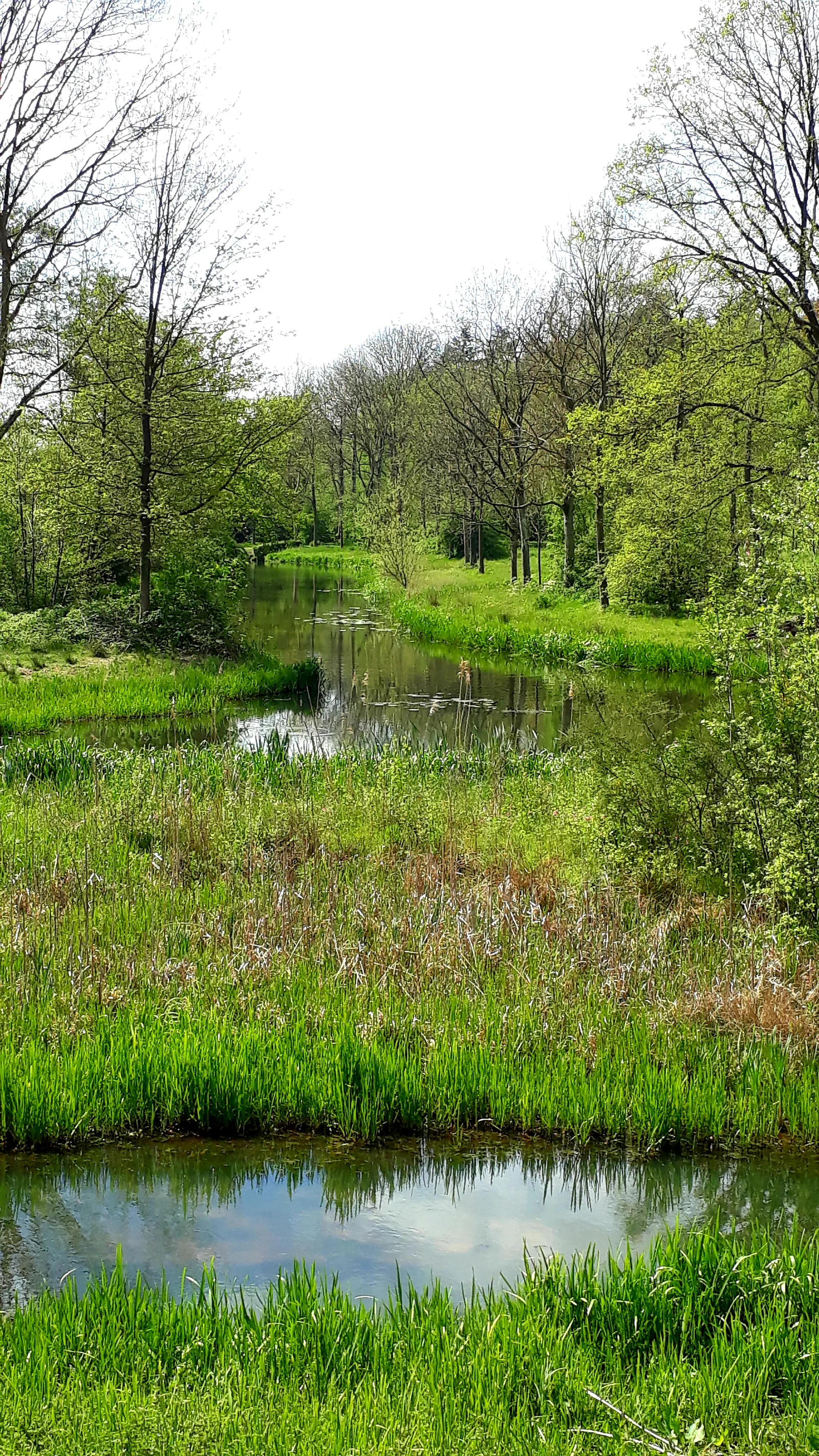 Outdoor views at Elisabeth Groen Amersfoort — family travel photo