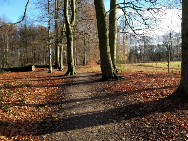 Park Schothorst