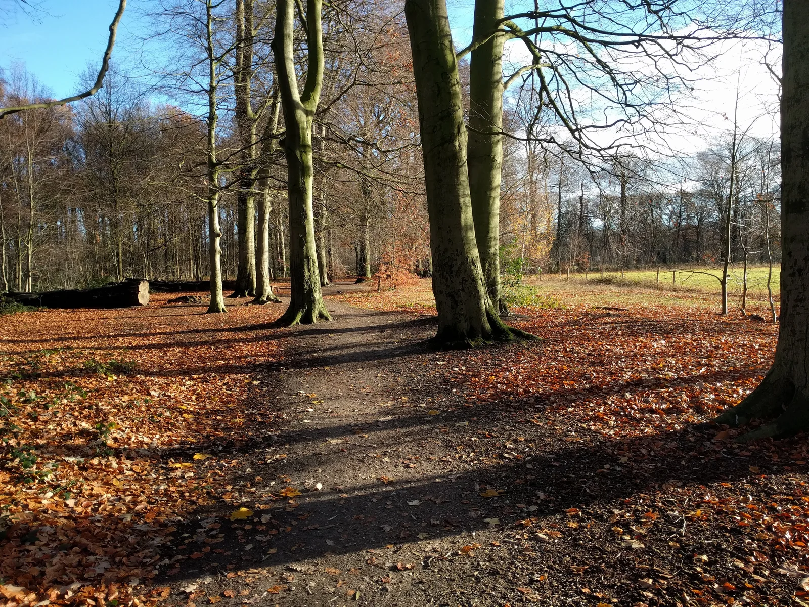 Park Schothorst
