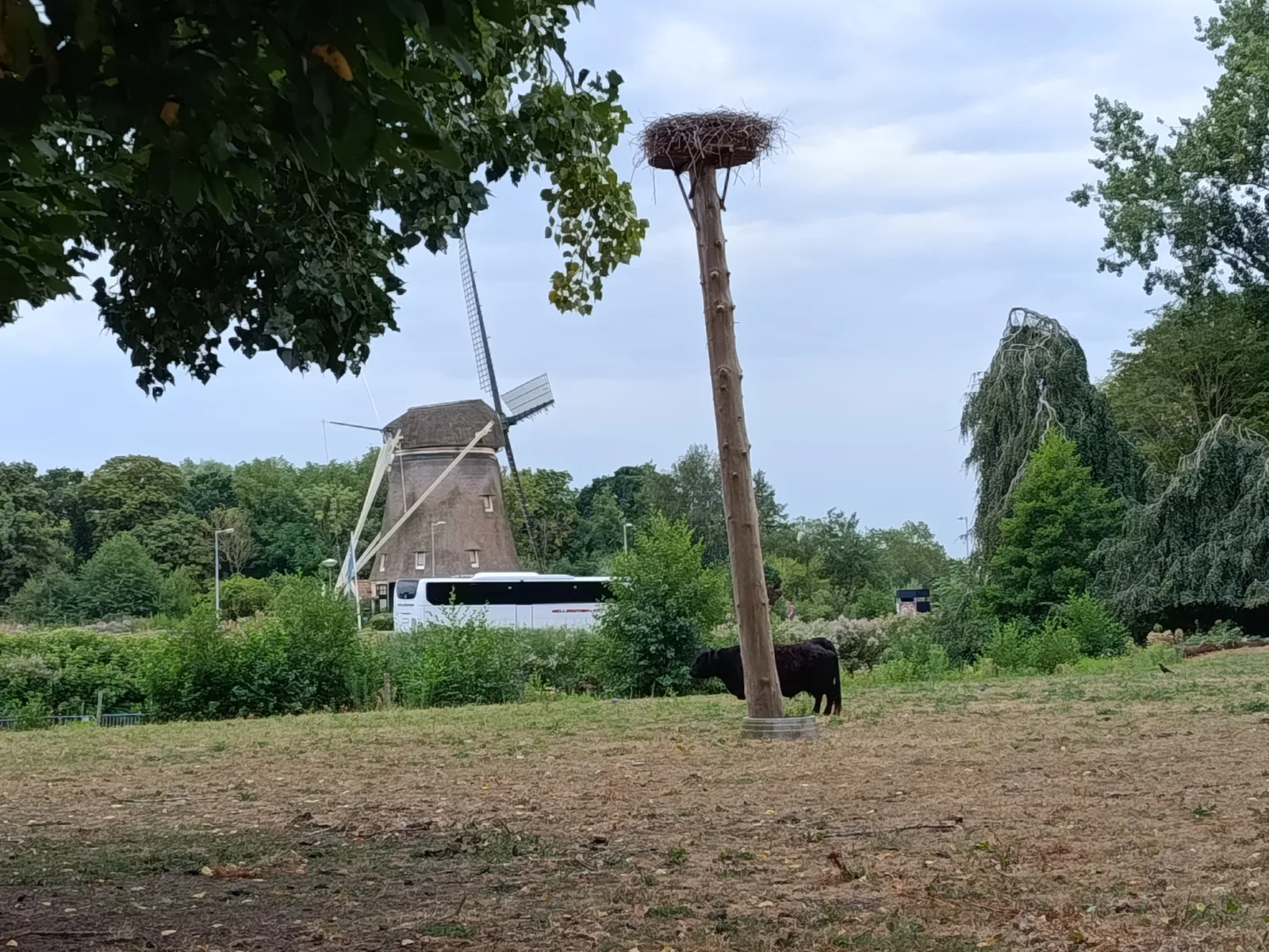 Main view at Amstelpark Amsterdam — travel photo