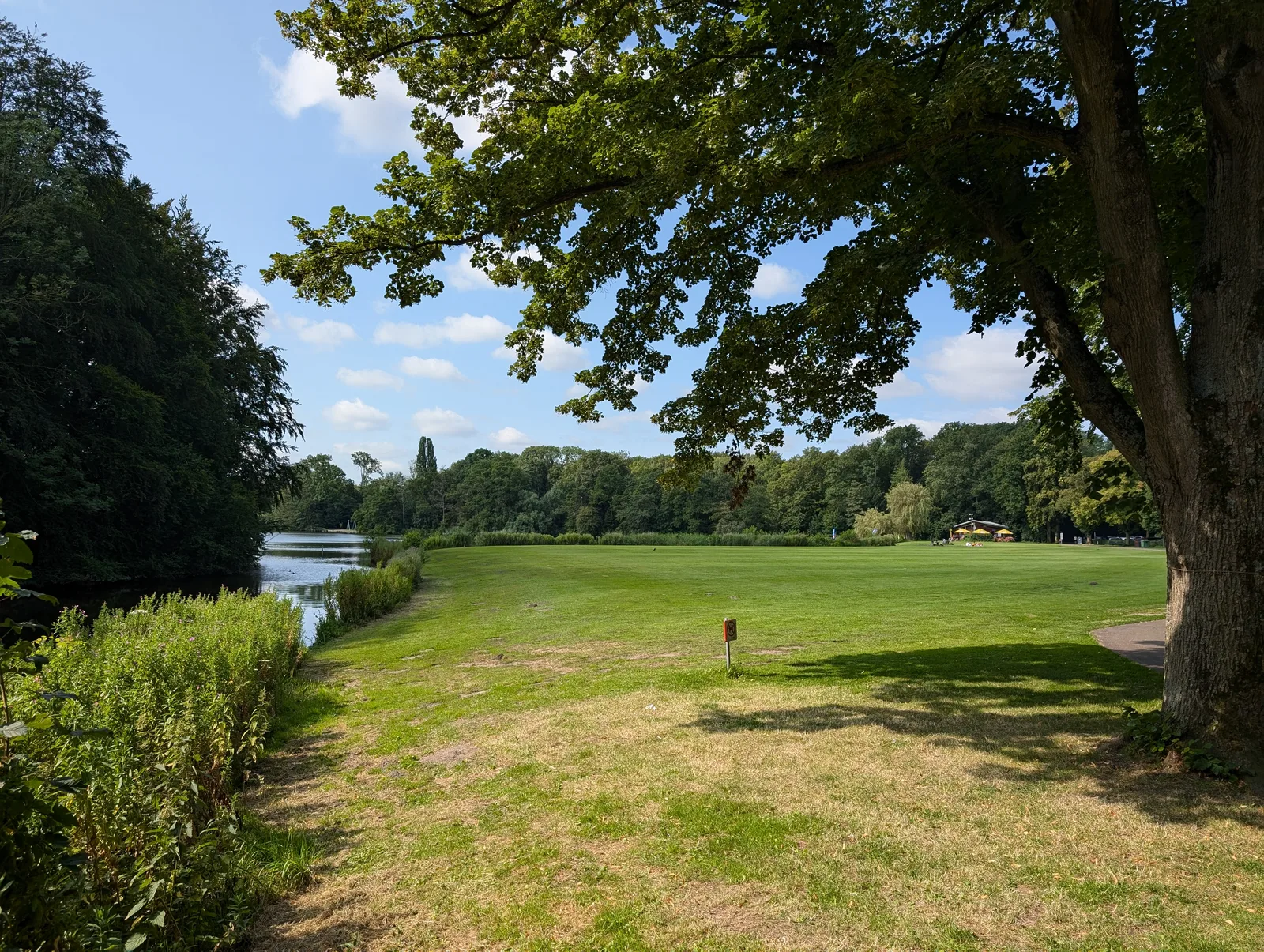 Amsterdam Forest