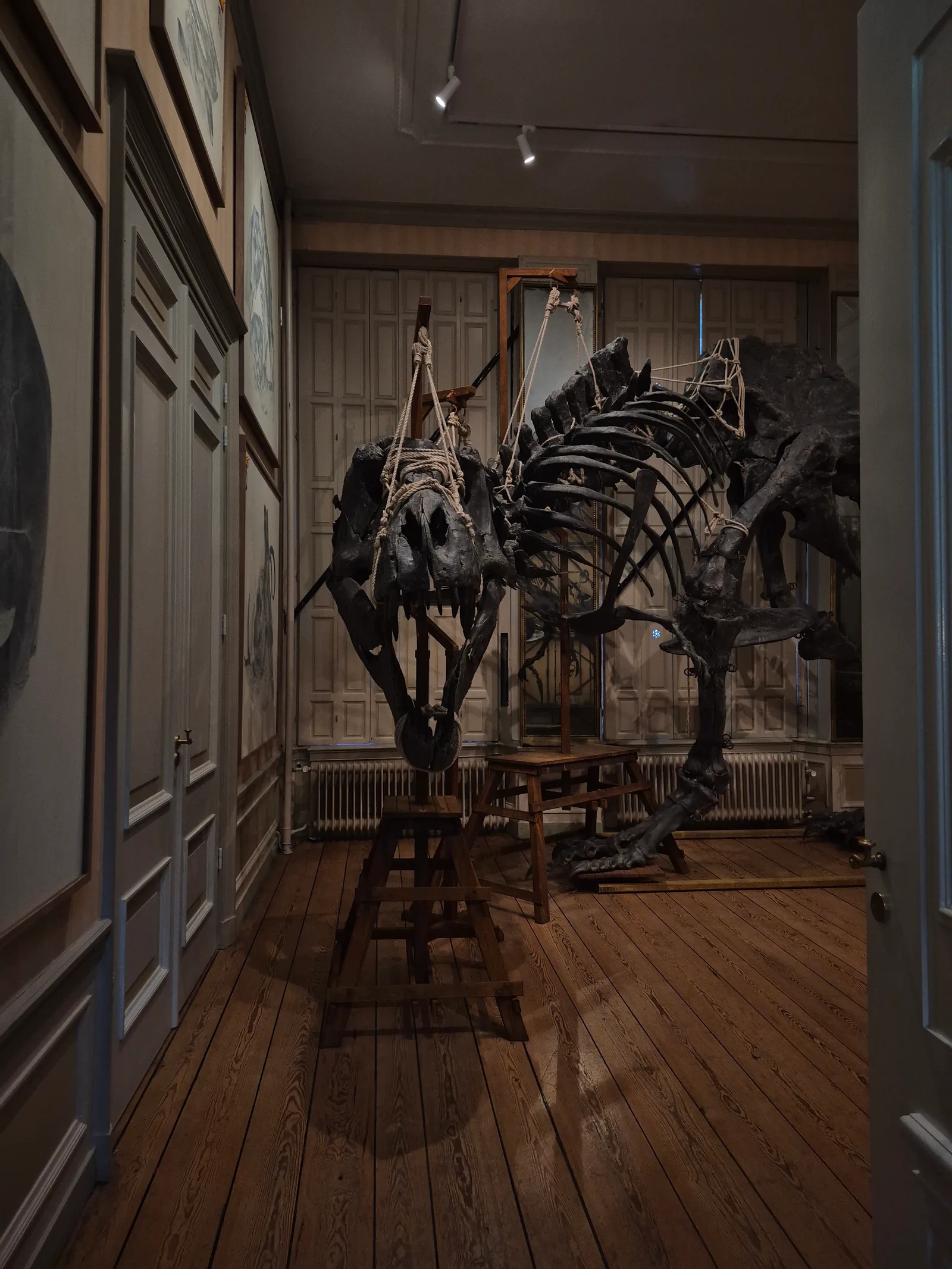 Main view at Art Zoo Museum Amsterdam — travel photo