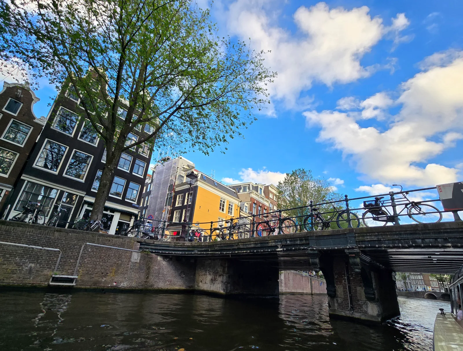 Interior at Art Zoo Museum Amsterdam — travel photo
