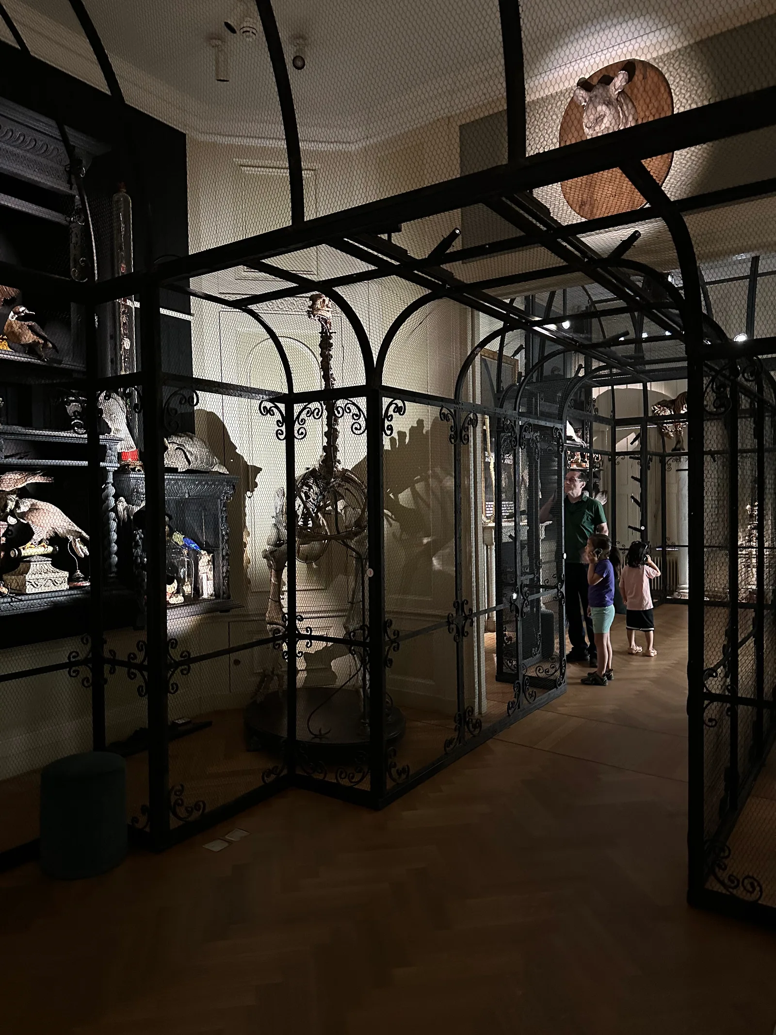 Details at Art Zoo Museum Amsterdam — travel photo