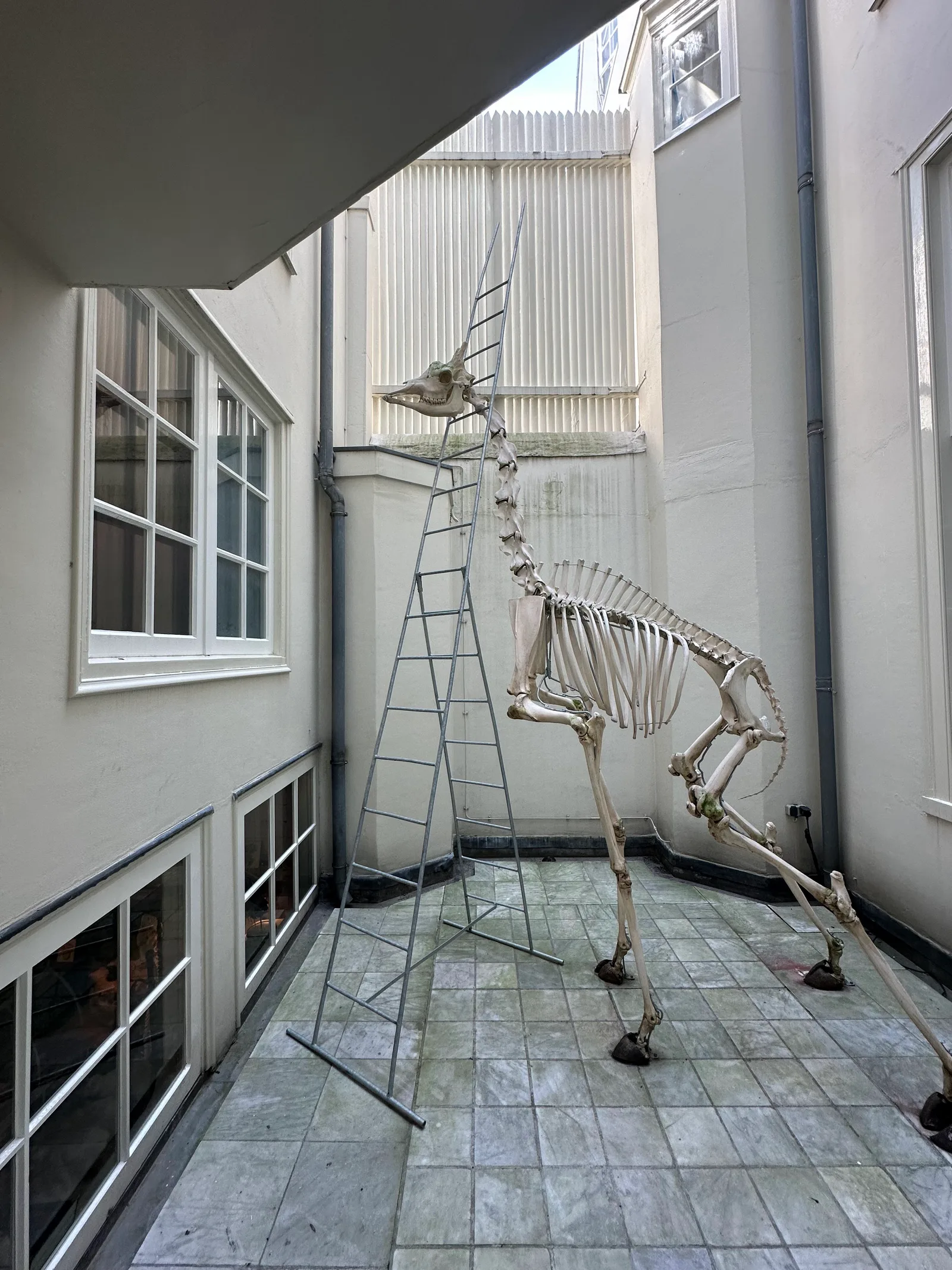 Atmosphere at Art Zoo Museum Amsterdam — travel photo
