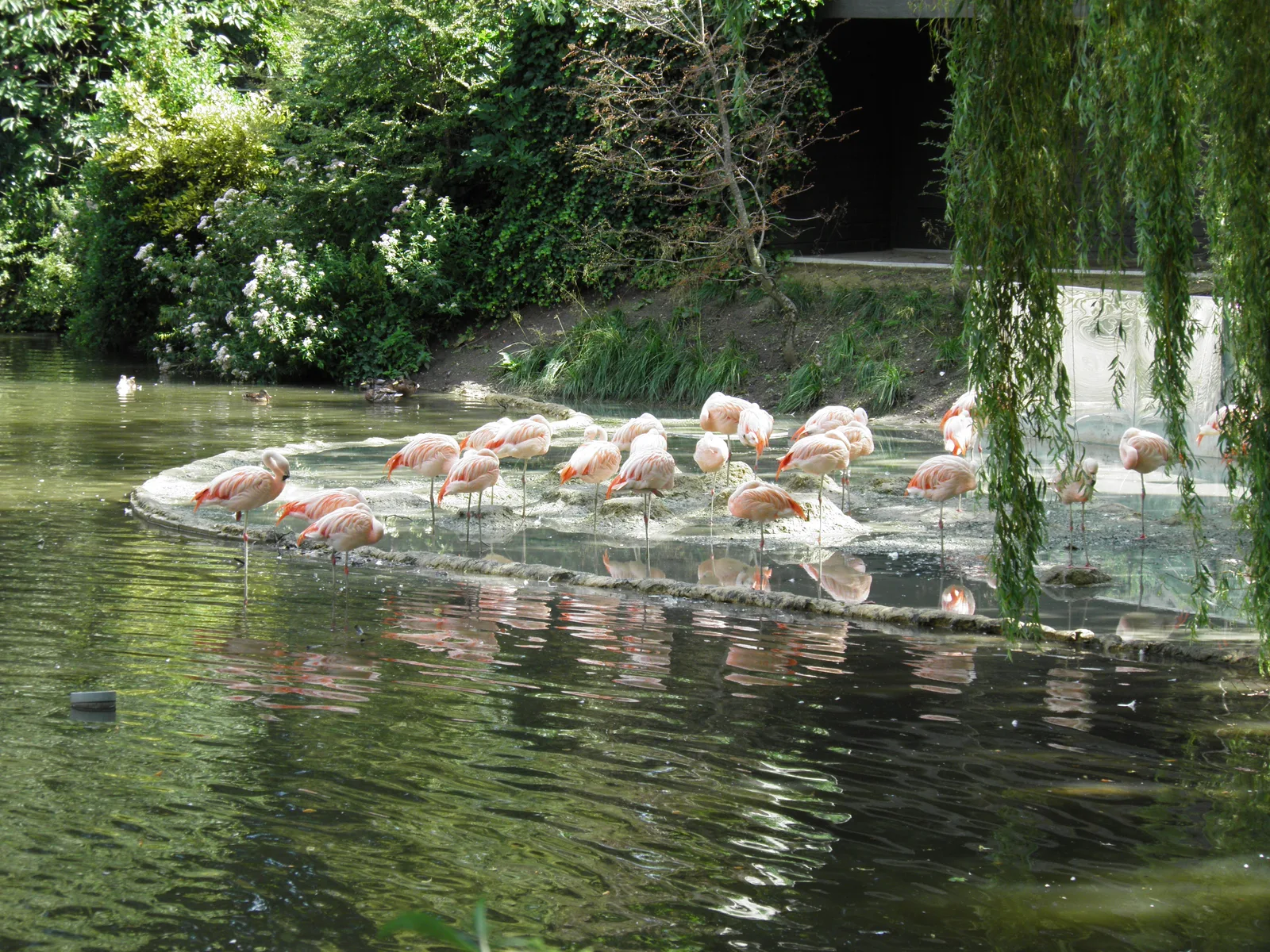 Interior at ARTIS Amsterdam — travel photo