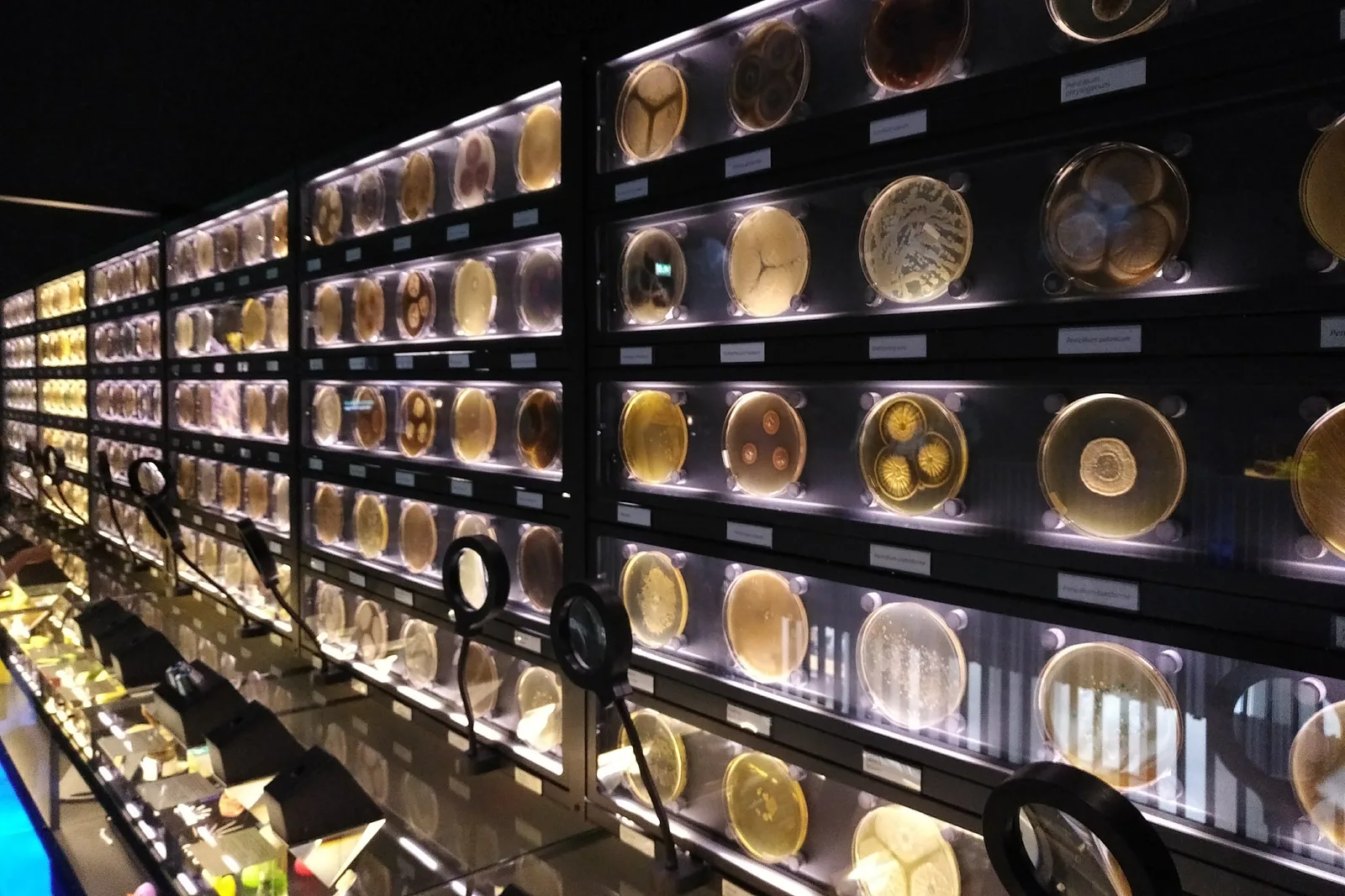 Details at ARTIS Amsterdam — travel photo
