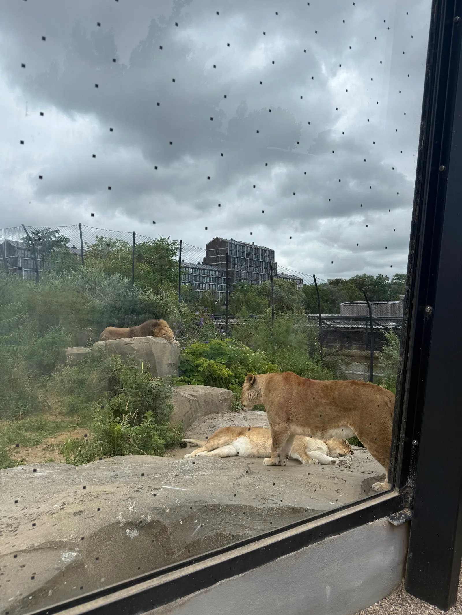 Atmosphere at ARTIS Amsterdam — travel photo