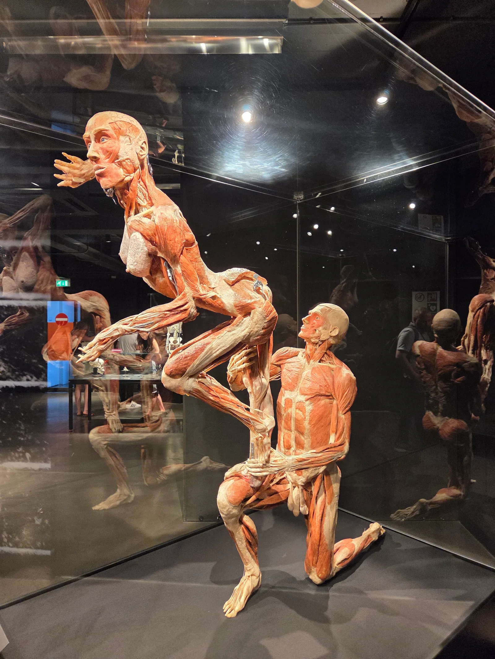 Atmosphere at BODY WORLDS Amsterdam Amsterdam — travel photo