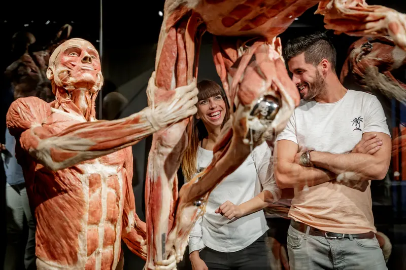 BODY WORLDS Amsterdam in Amsterdam