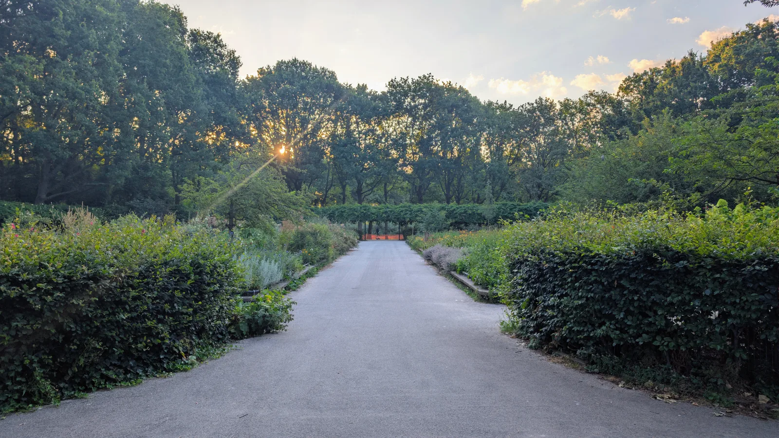 Atmosphere at Erasmuspark Amsterdam — travel photo