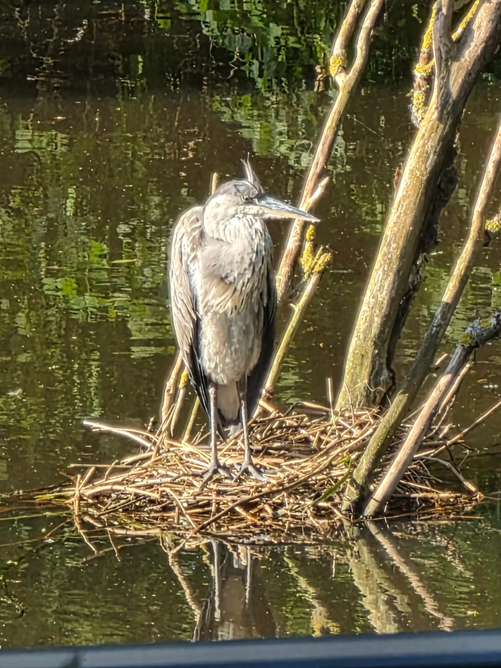 Main view at Flevopark Amsterdam — travel photo