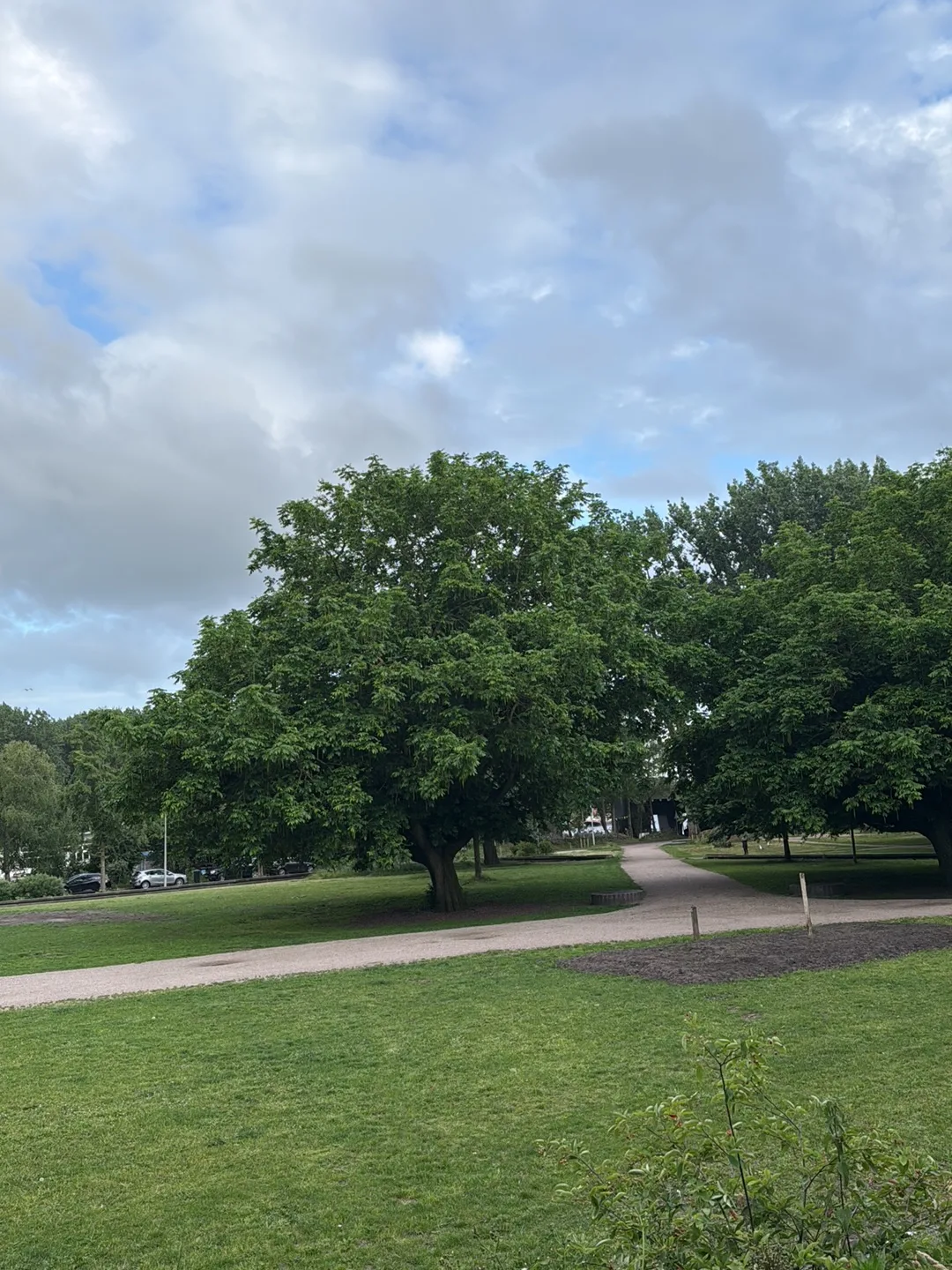 Interior at Martin Luther Kingpark Amsterdam — travel photo