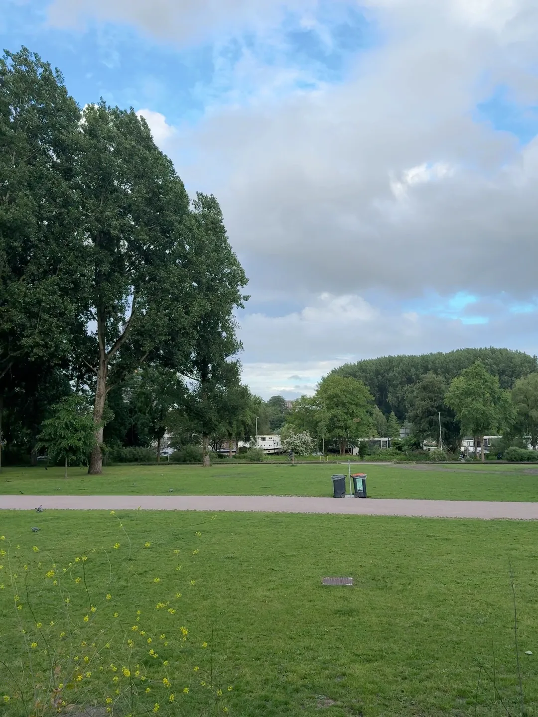 Details at Martin Luther Kingpark Amsterdam — travel photo