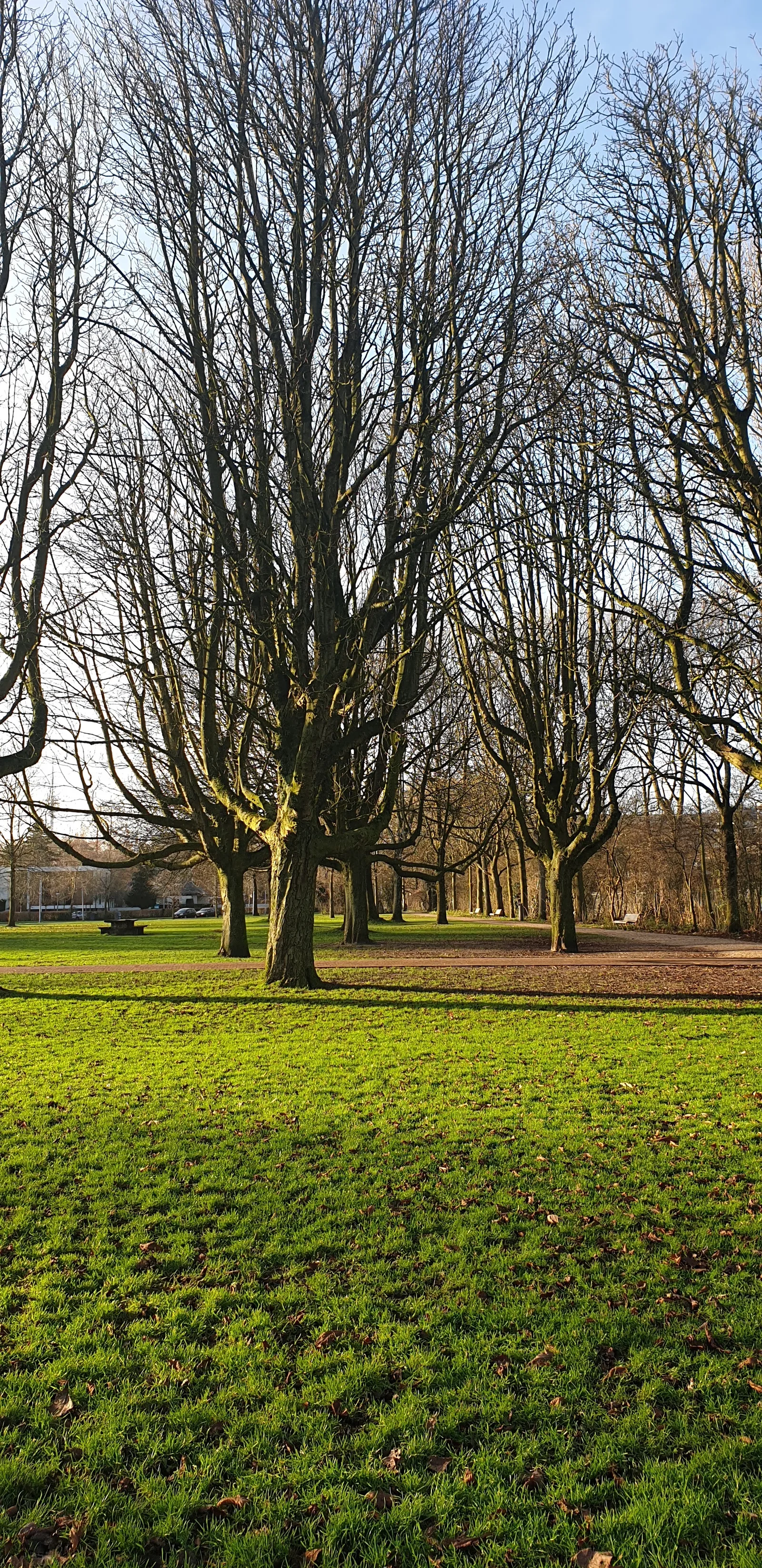Martin Luther Kingpark — romantic guide Amsterdam