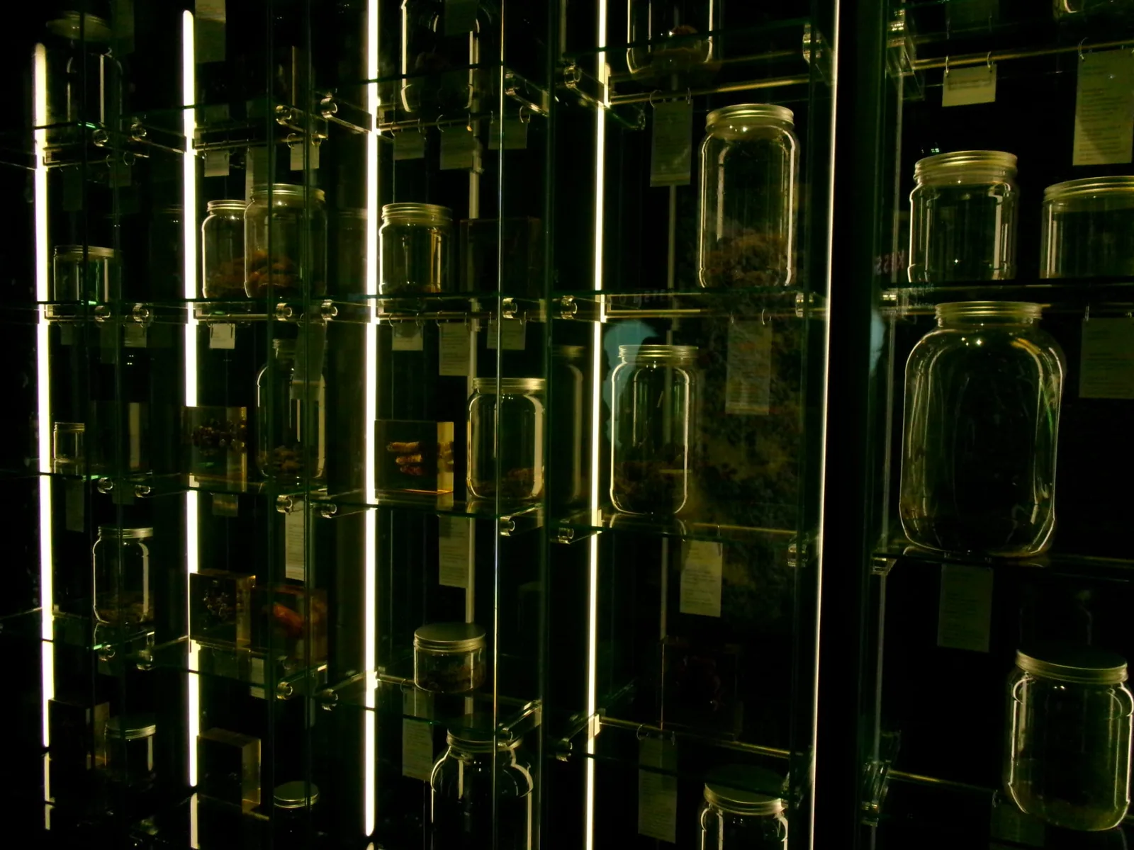 Micropia