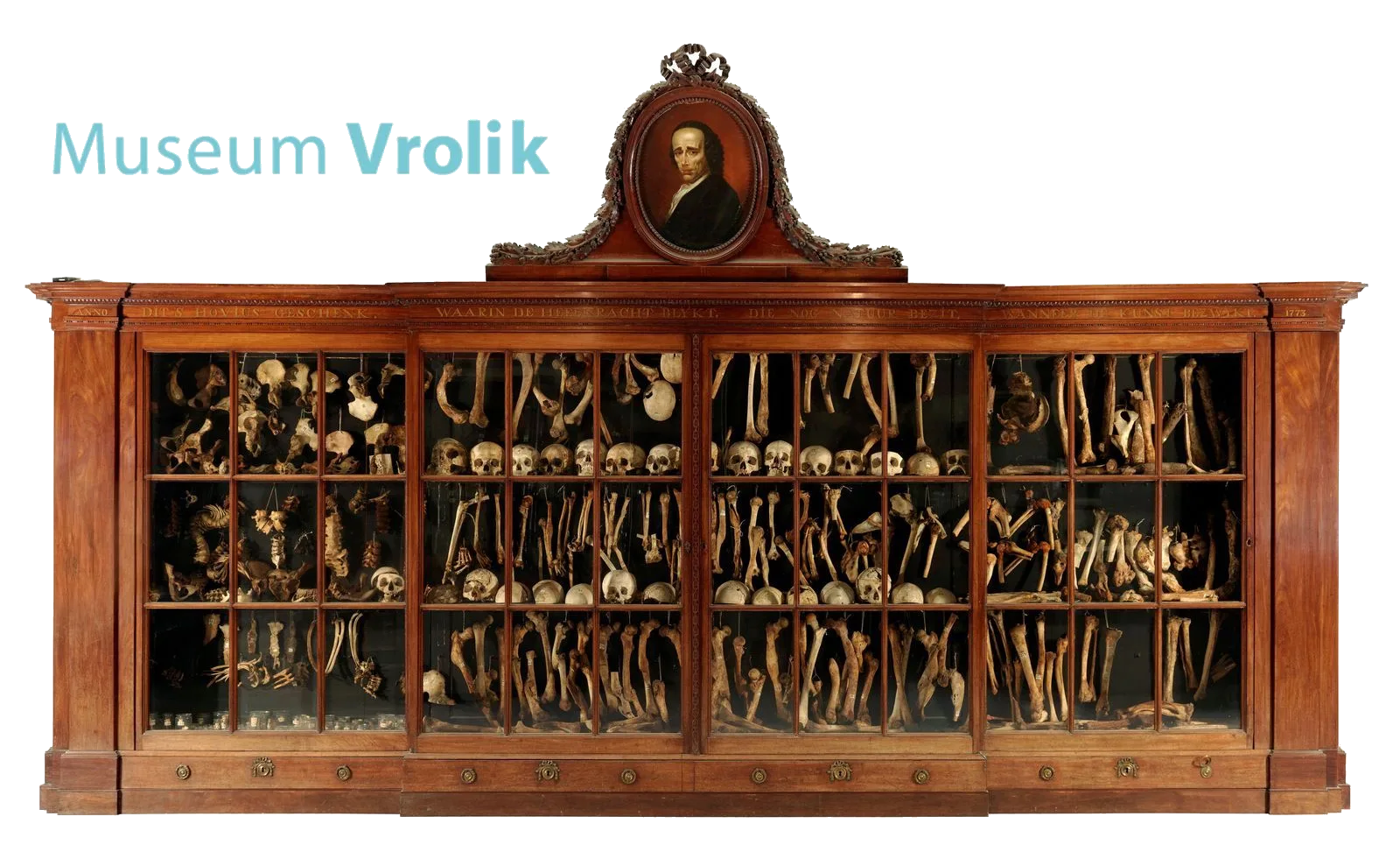 Main view at Museum Vrolik Amsterdam — travel photo