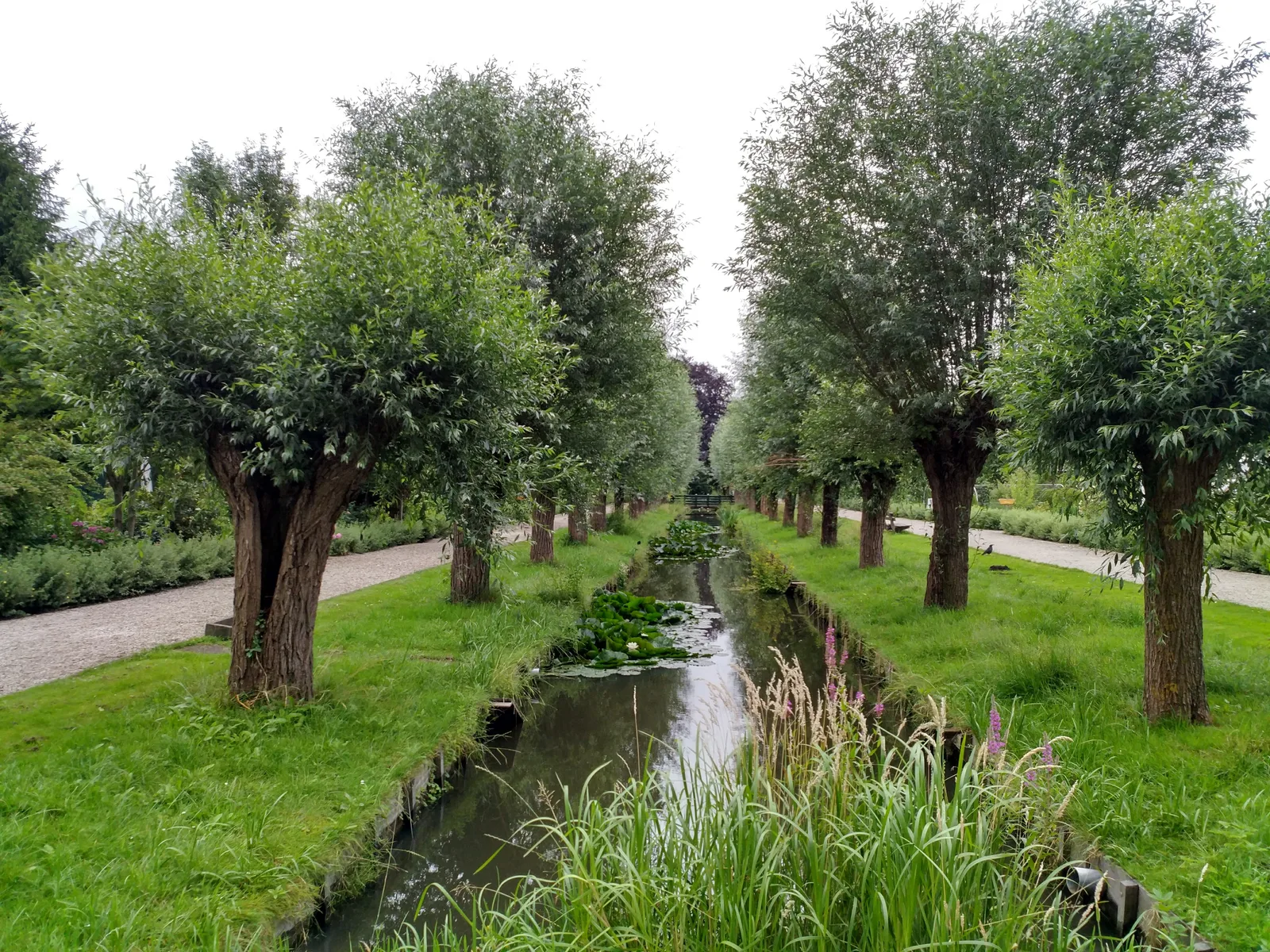 Atmosphere at Park Frankendael Amsterdam — travel photo