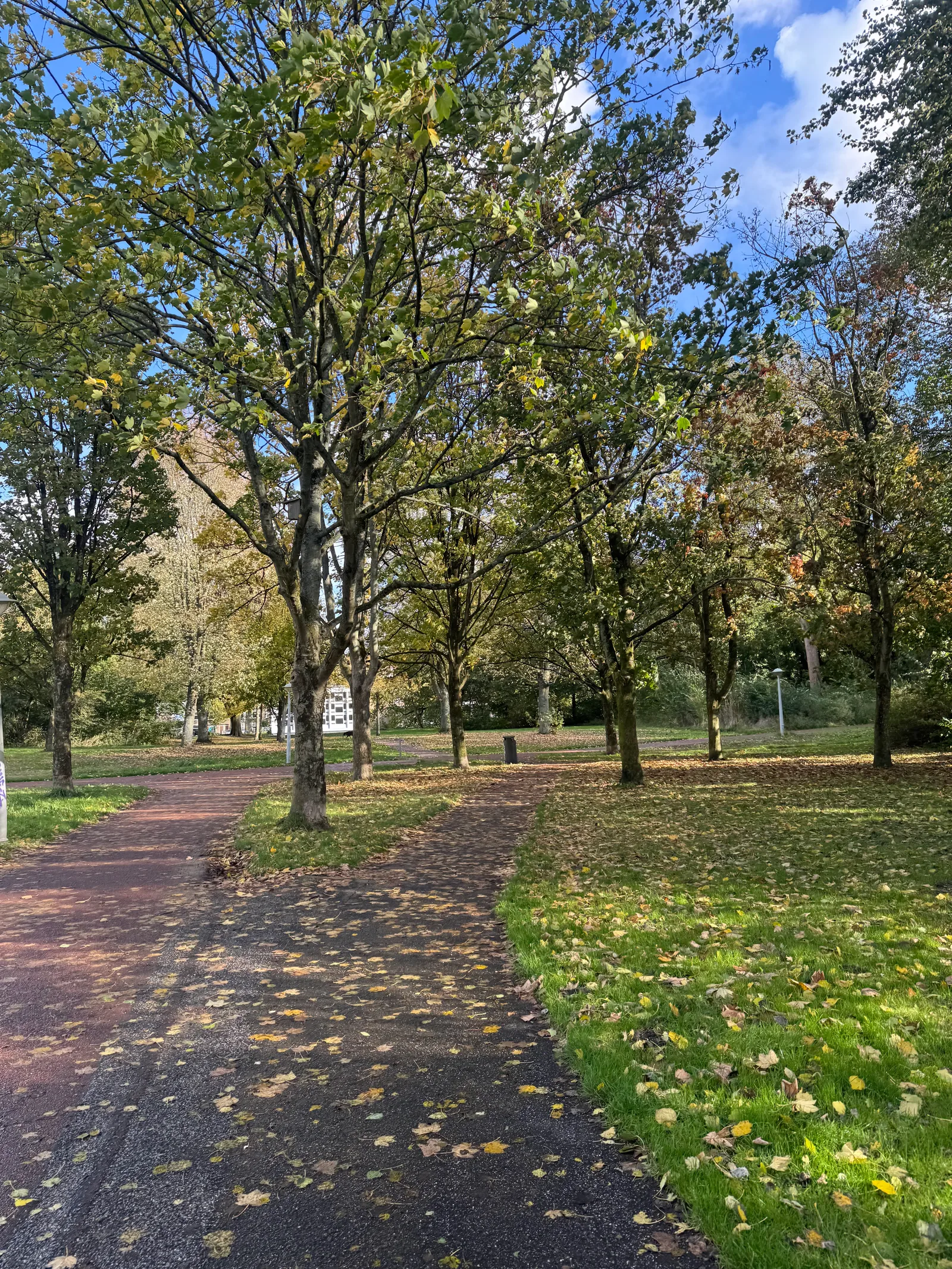 Atmosphere at Rembrandtpark Amsterdam — travel photo