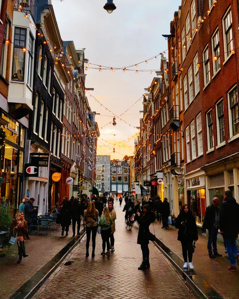 The 9 Streets