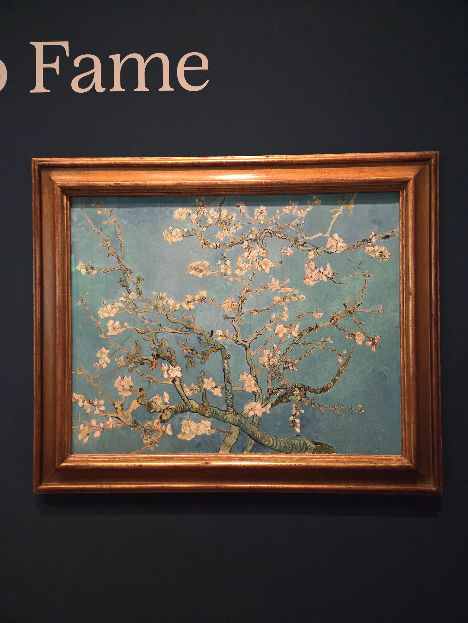 Interior at Van Gogh Museum Amsterdam — travel photo