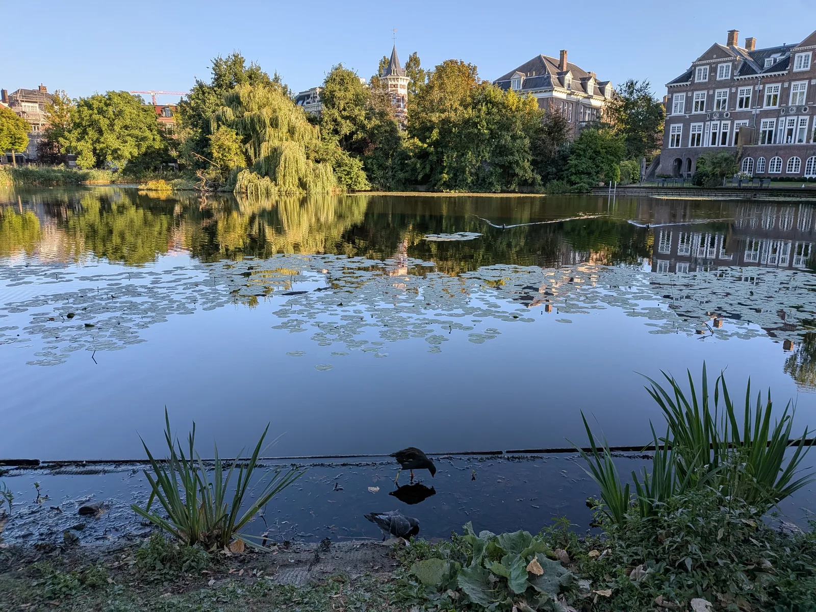 Main view at Vondelpark Amsterdam — travel photo
