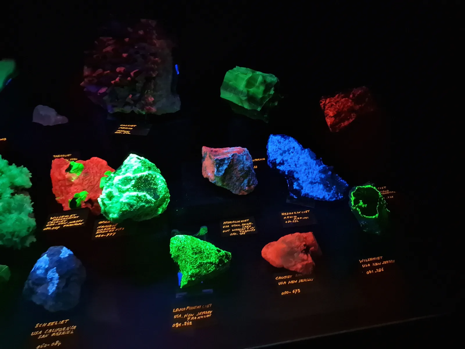 Main view at Academy of Mineralogy Antwerp — travel photo
