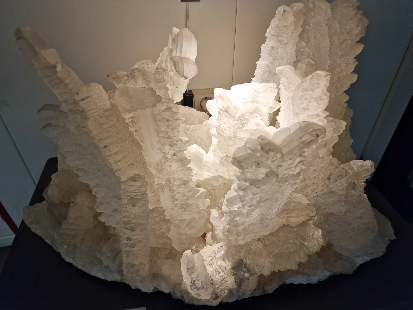 Details at Academy of Mineralogy Antwerp — travel photo