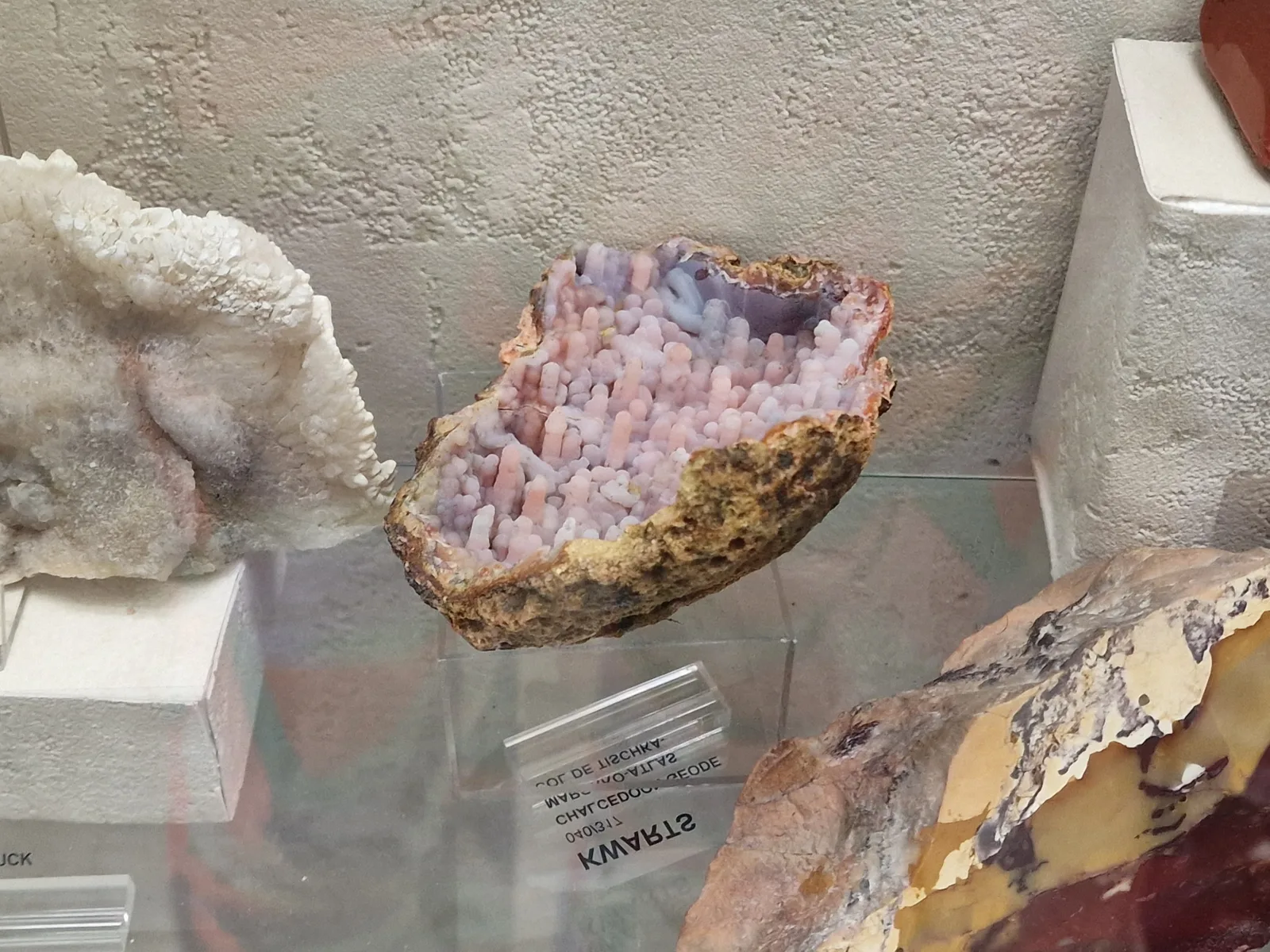 Atmosphere at Academy of Mineralogy Antwerp — travel photo