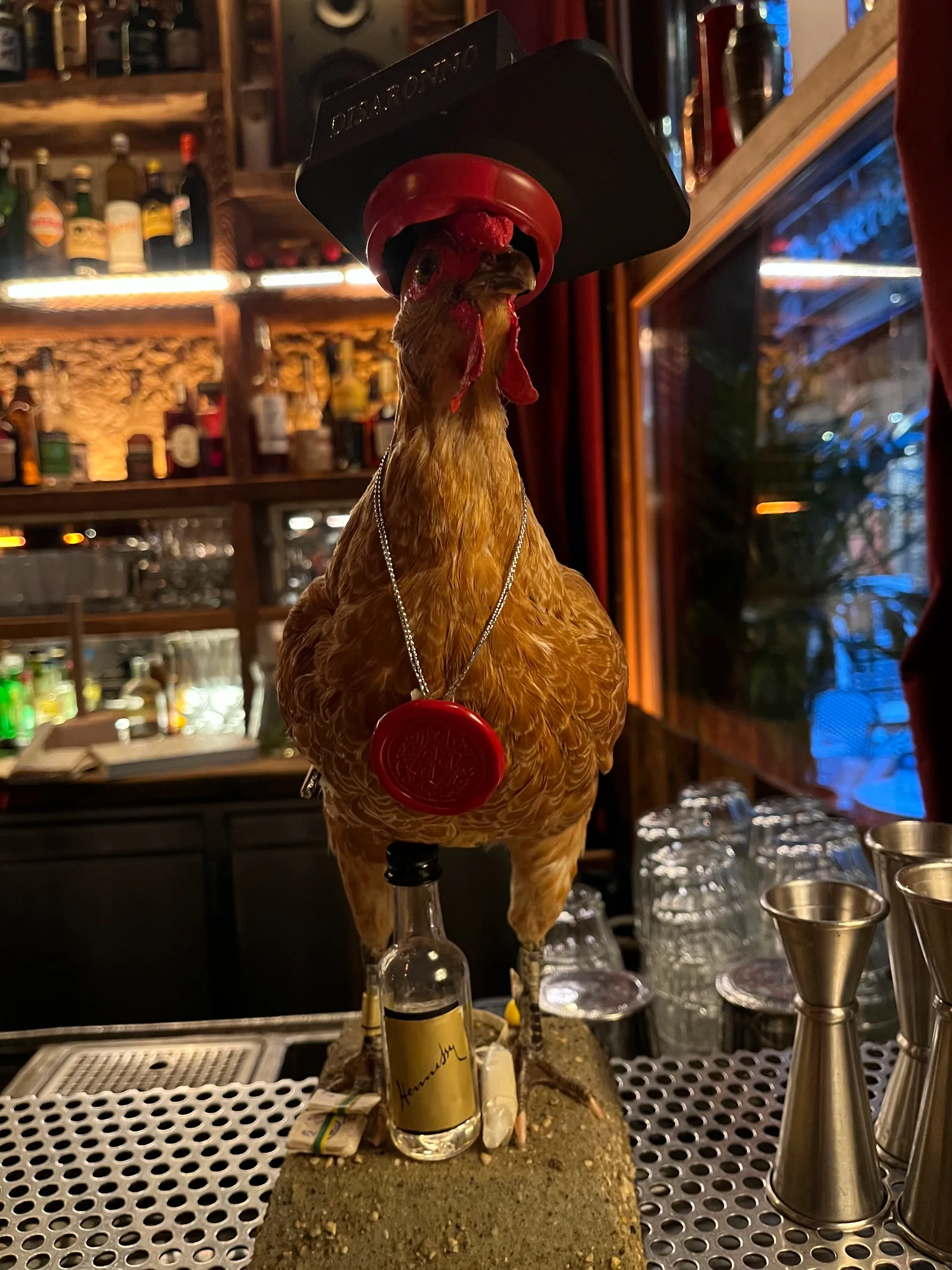 Interior at Dogma Antwerp — travel photo