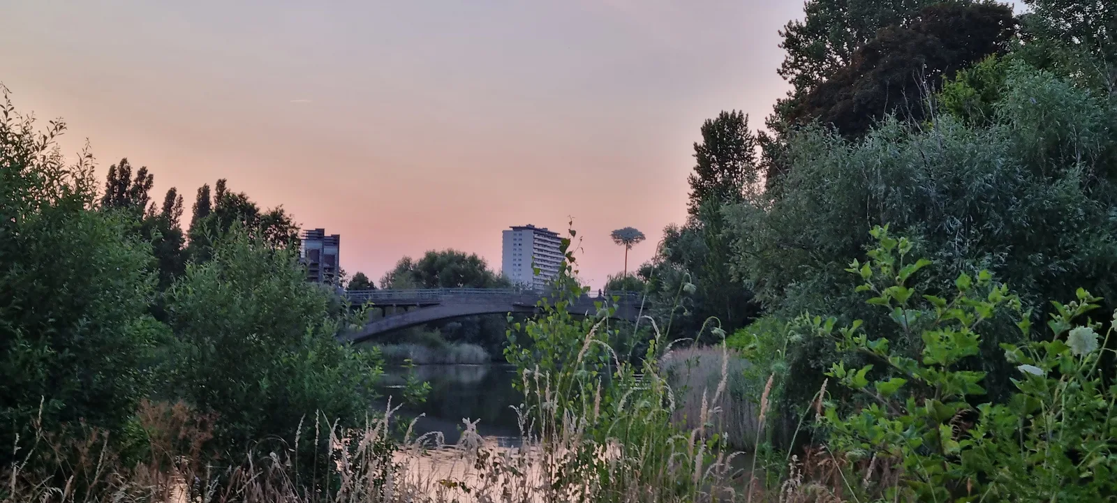 Main view at Mastvestpark Antwerp — travel photo