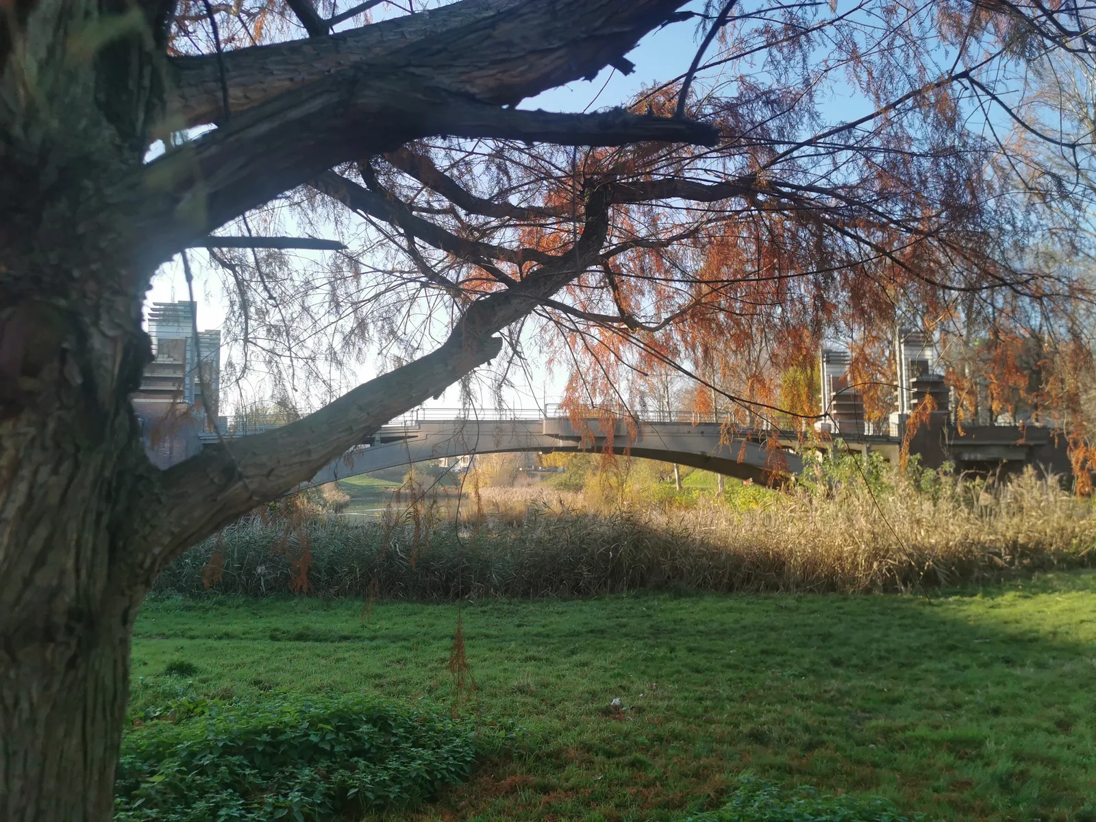 Details at Mastvestpark Antwerp — travel photo