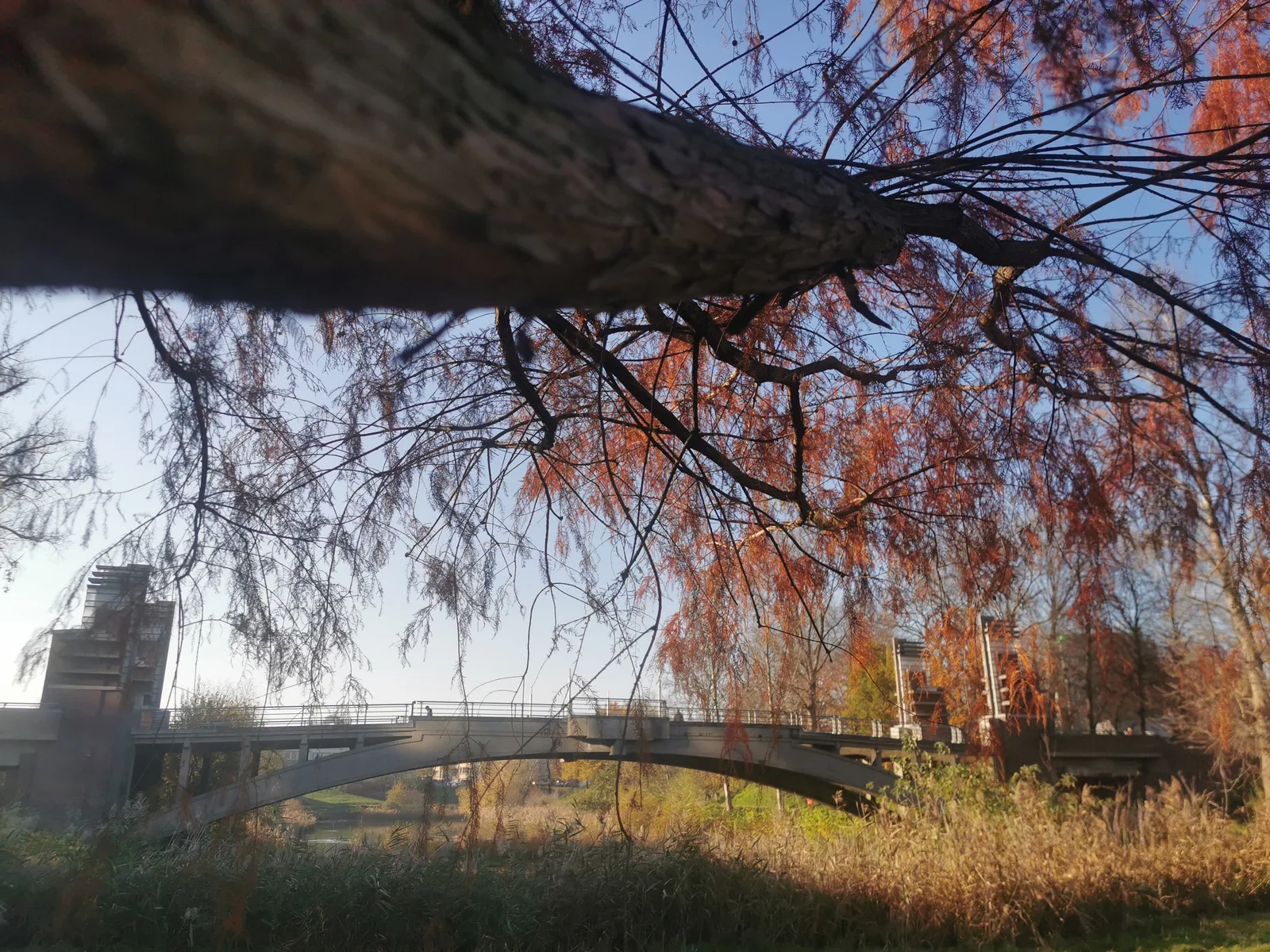 Atmosphere at Mastvestpark Antwerp — travel photo