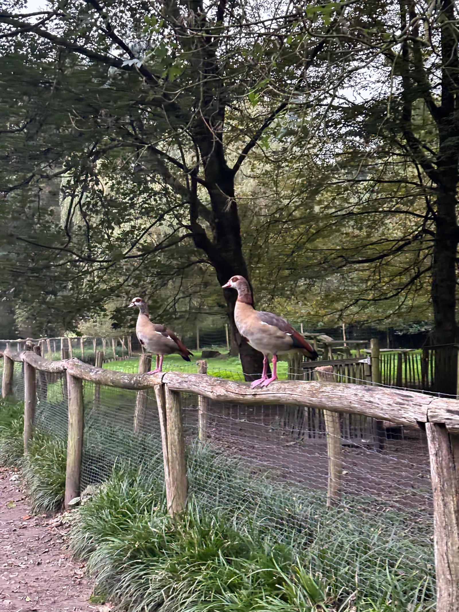 Atmosphere at Nachtegalenpark Antwerp — travel photo