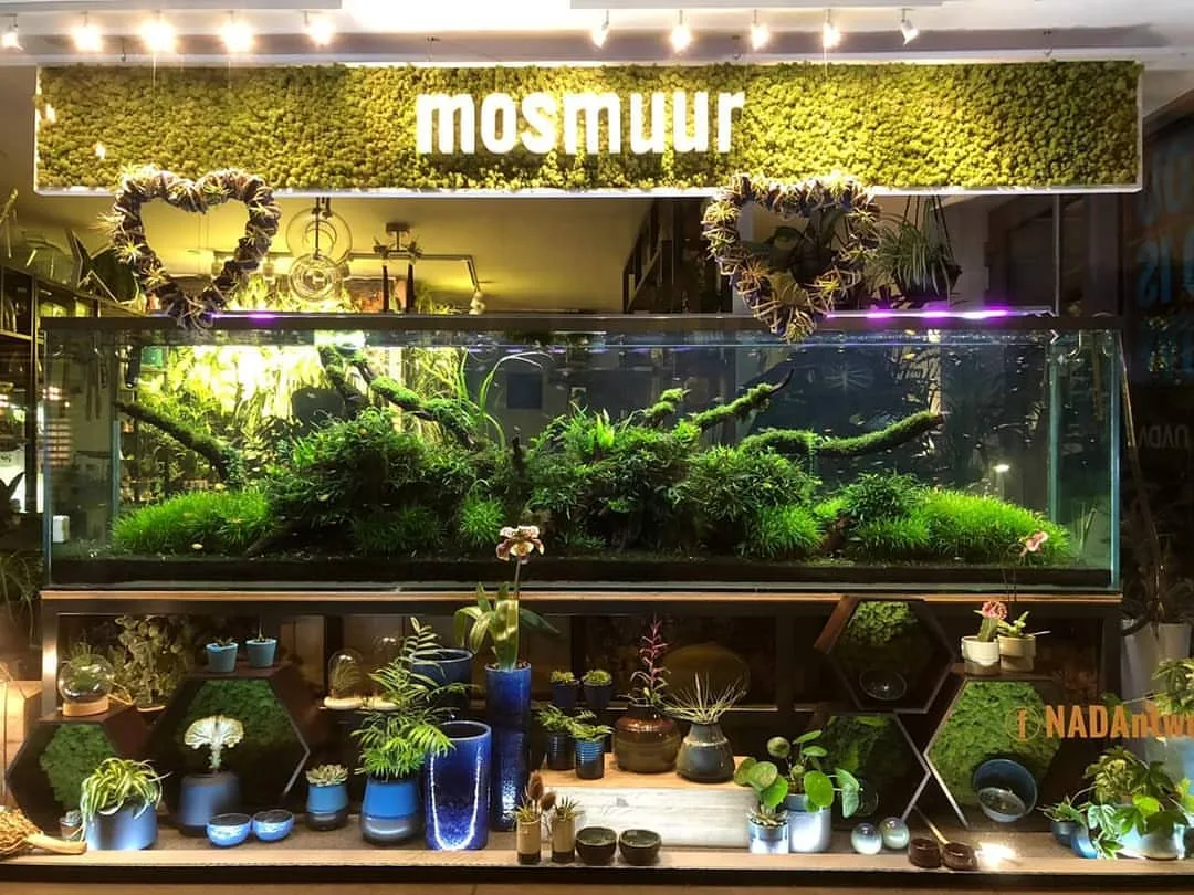 Interior at NADA - Nature Aquarium and Design Antwerp Antwerp — travel photo