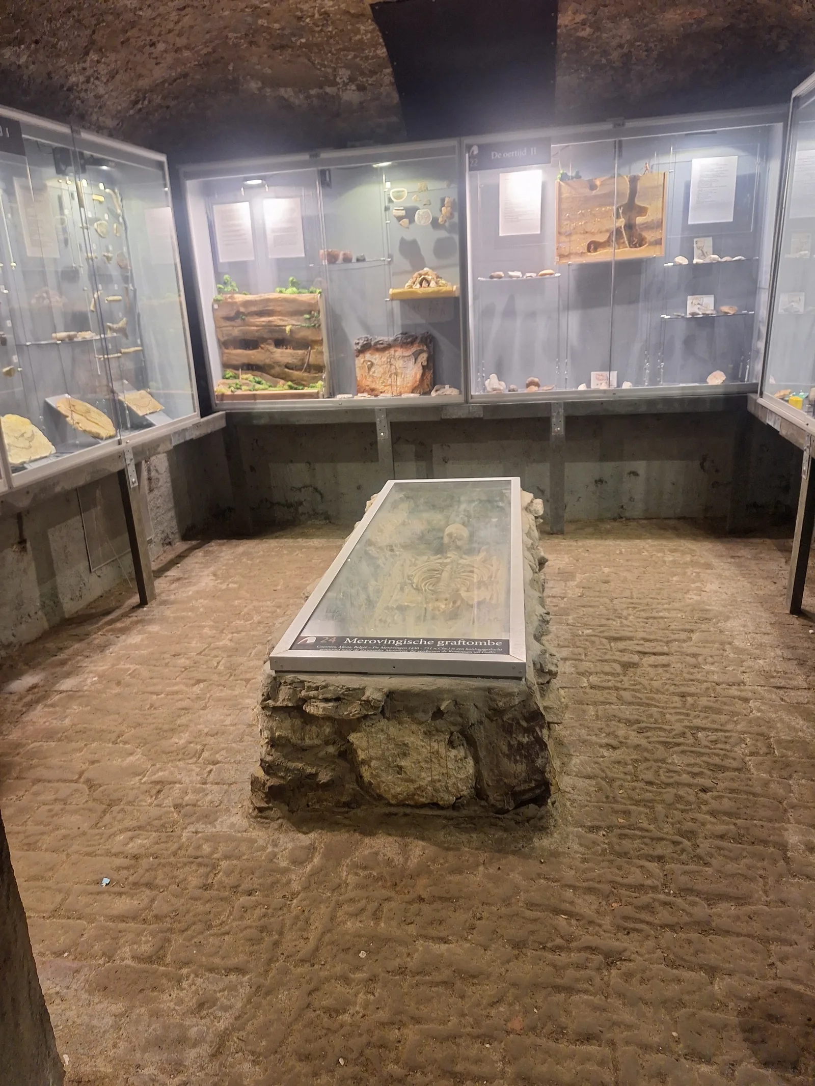 Interior at Natuurhistorisch Museum Boekenberg Deurne Antwerp — travel photo