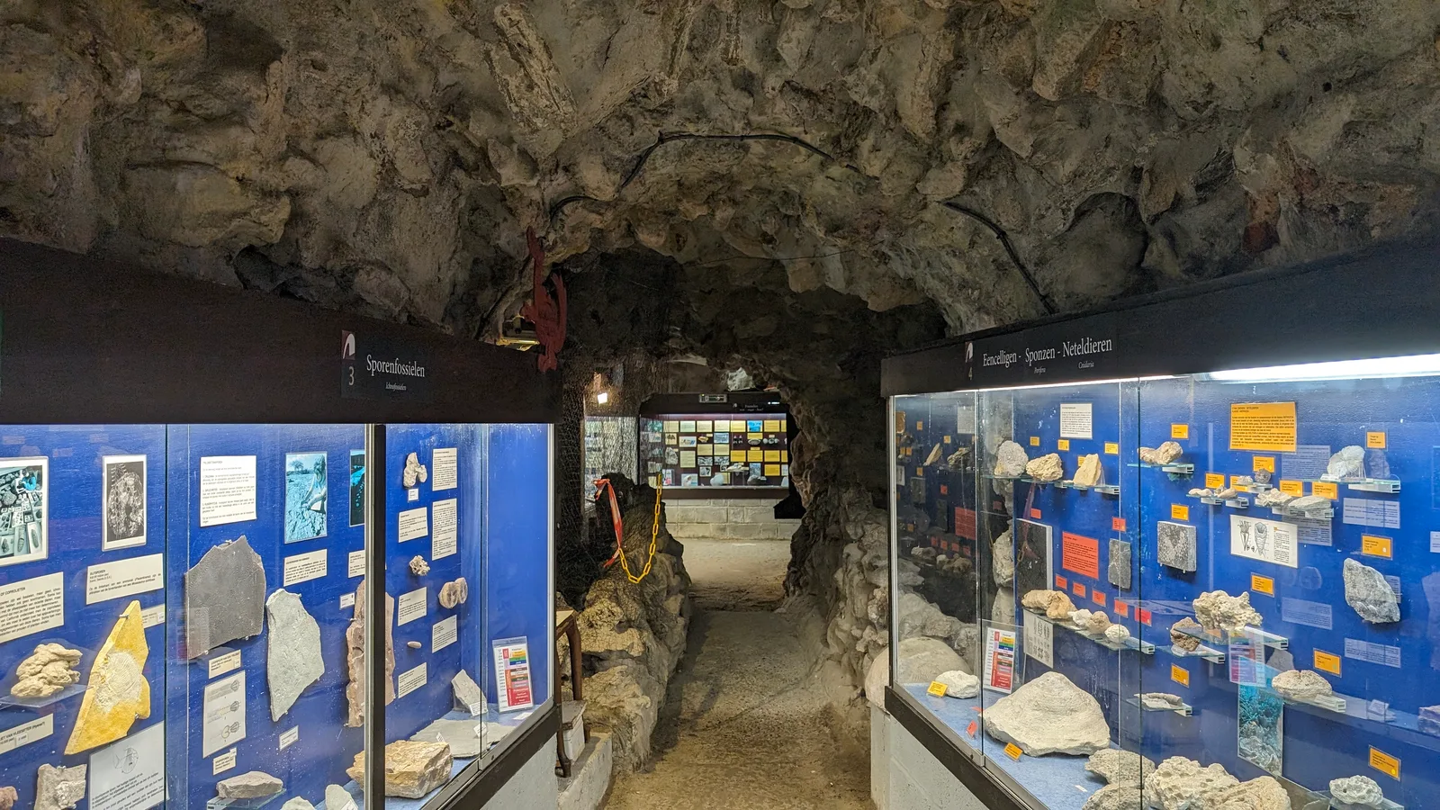 Natuurhistorisch Museum Boekenberg Deurne