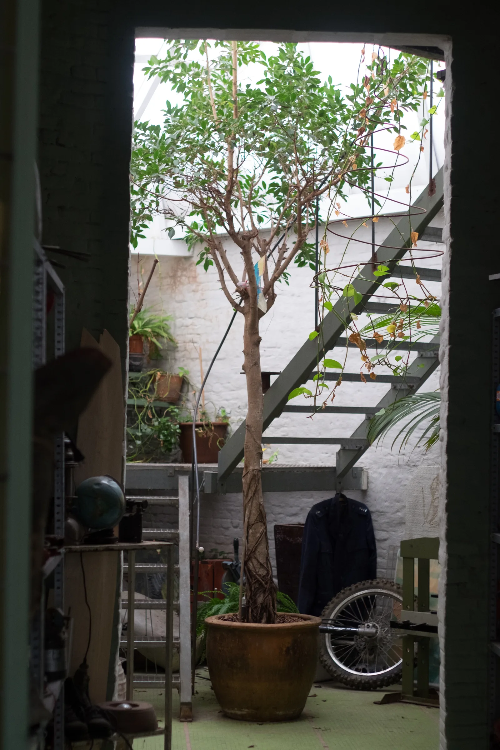 Atmosphere at Panamarenkohuis Antwerp — travel photo