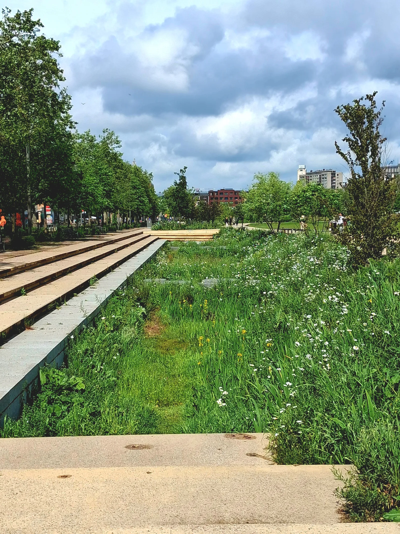 Main view at Parc Dok South Antwerp — travel photo