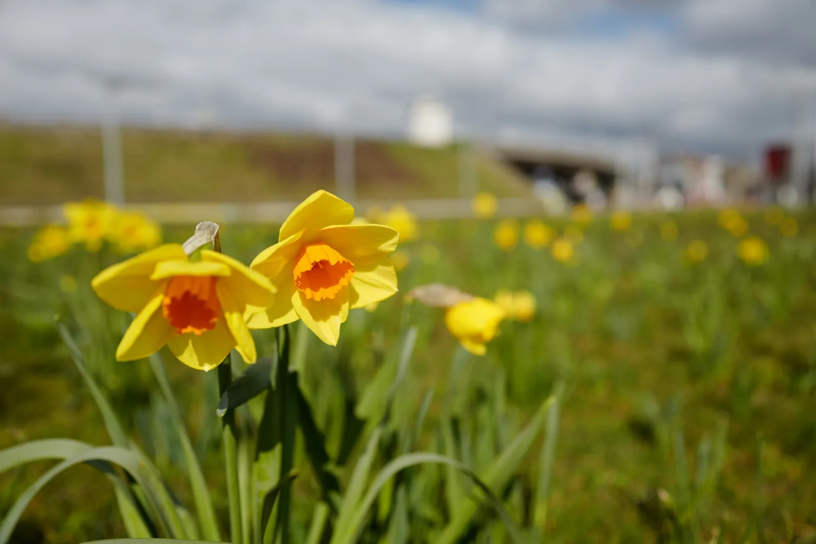 Park Spoor Noord — family guide Antwerp