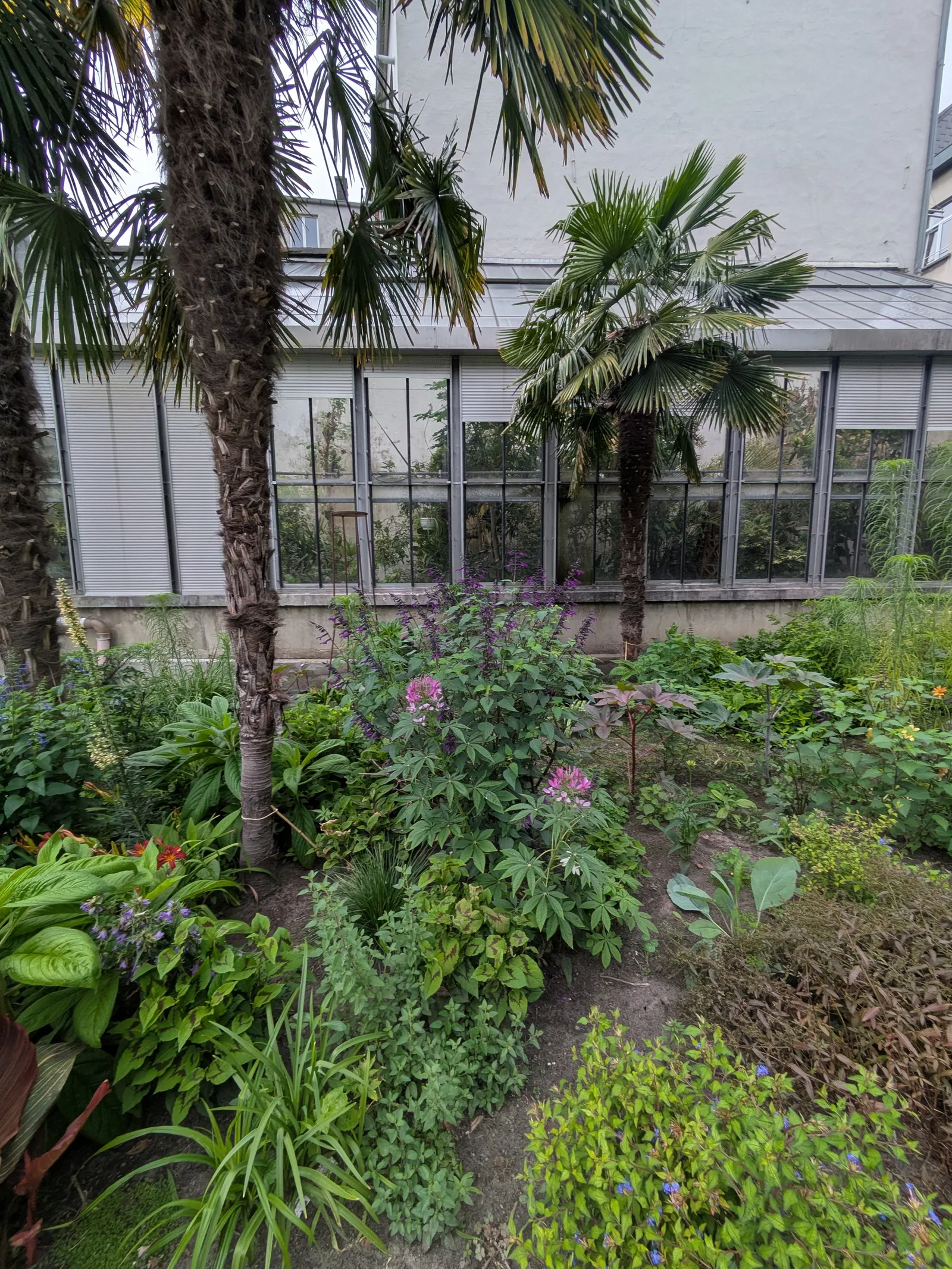 Interior at Plantentuin Antwerp — travel photo