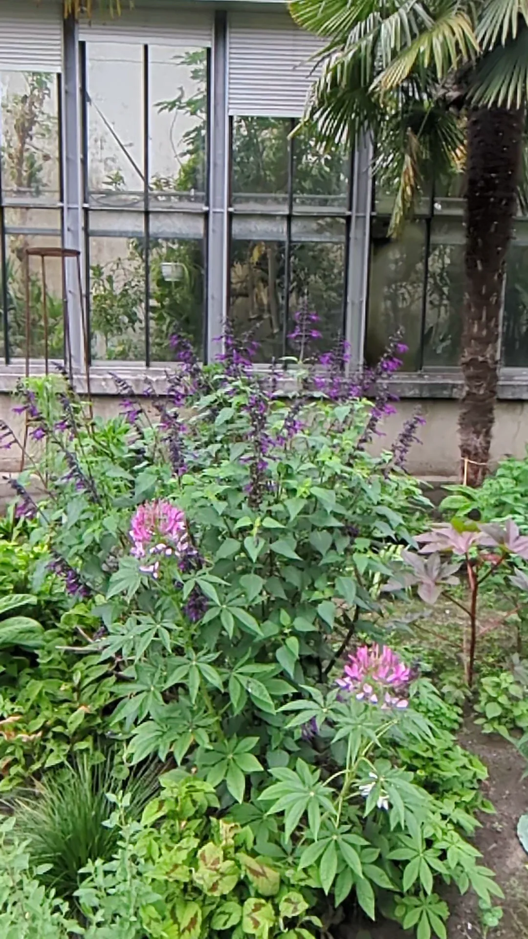 Atmosphere at Plantentuin Antwerp — travel photo