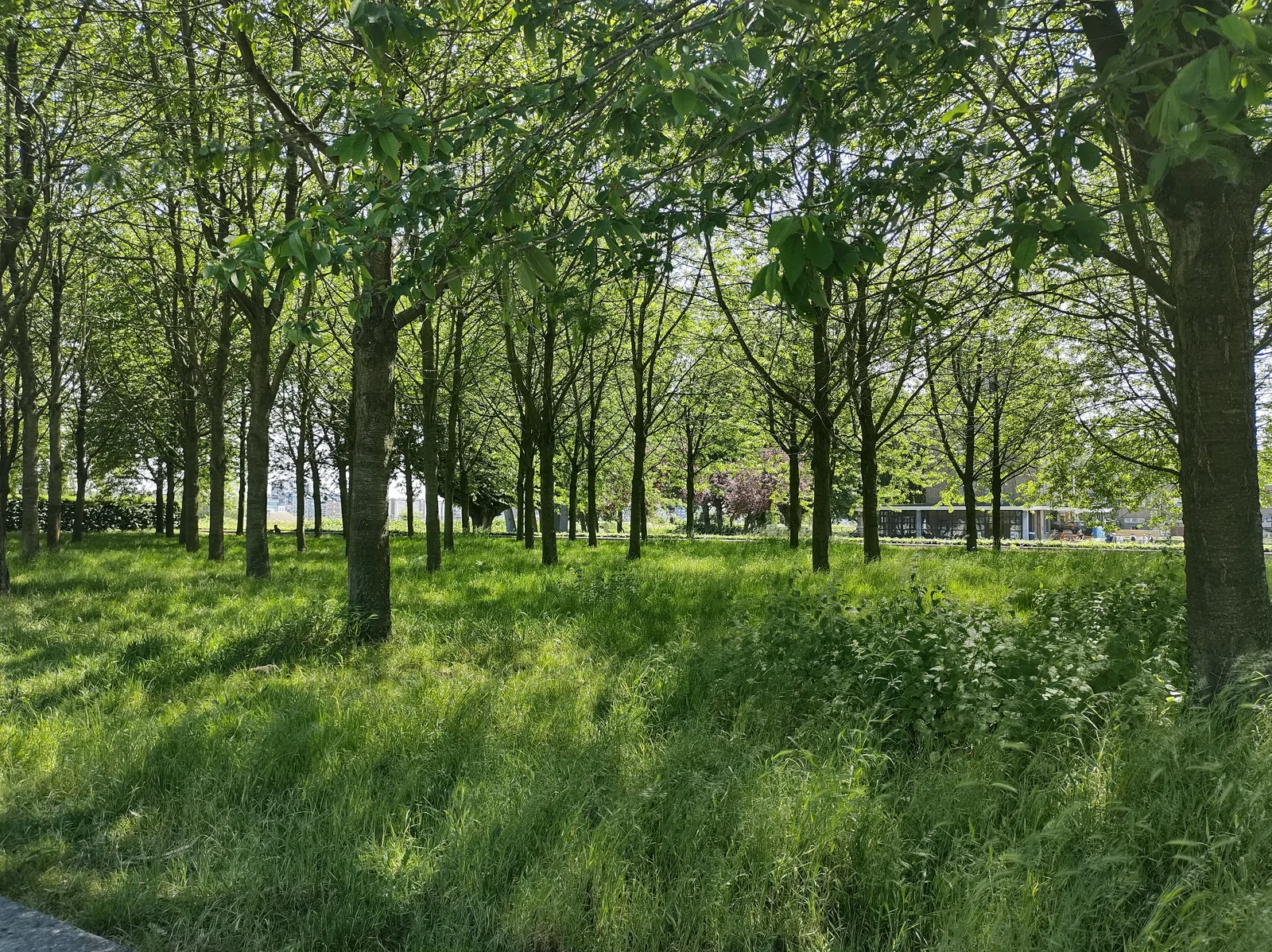 Interior at Simons Park Antwerp — travel photo