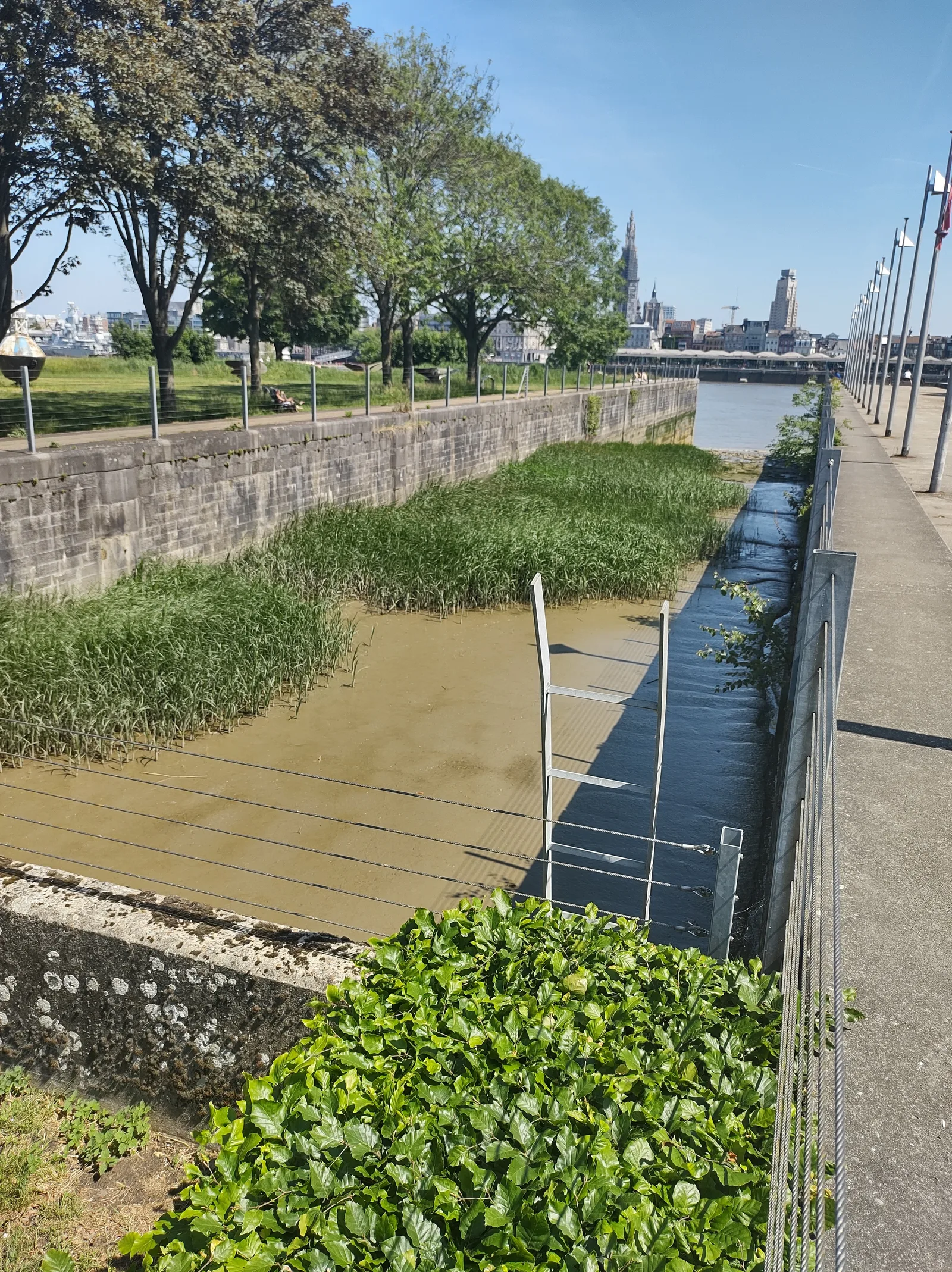 Atmosphere at Simons Park Antwerp — travel photo