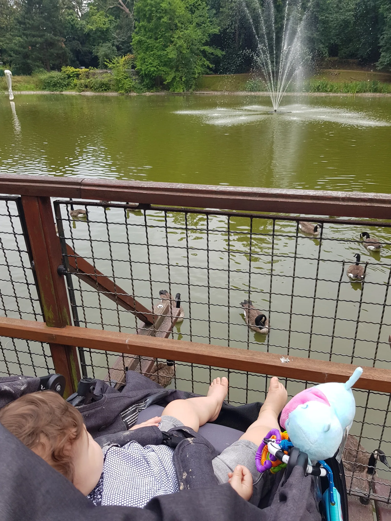 Details at Steytelinckpark Antwerp — travel photo