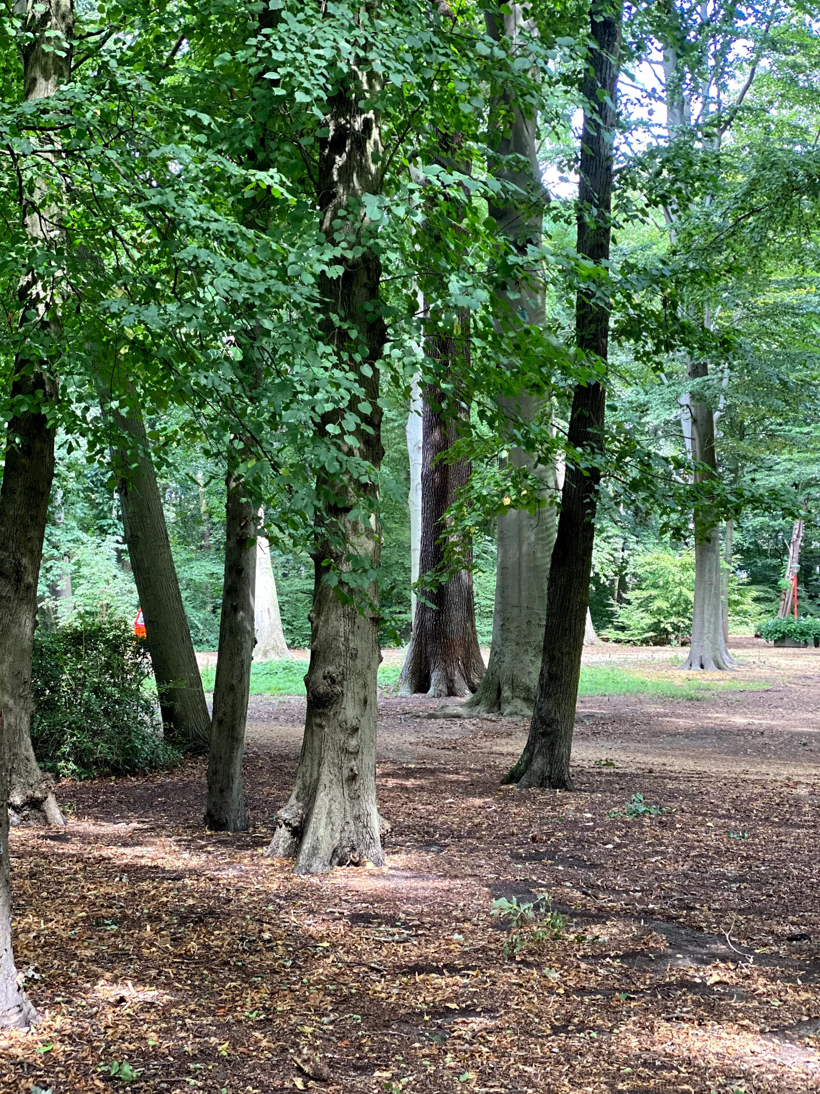 Details at Te Boelaerpark Antwerp — travel photo