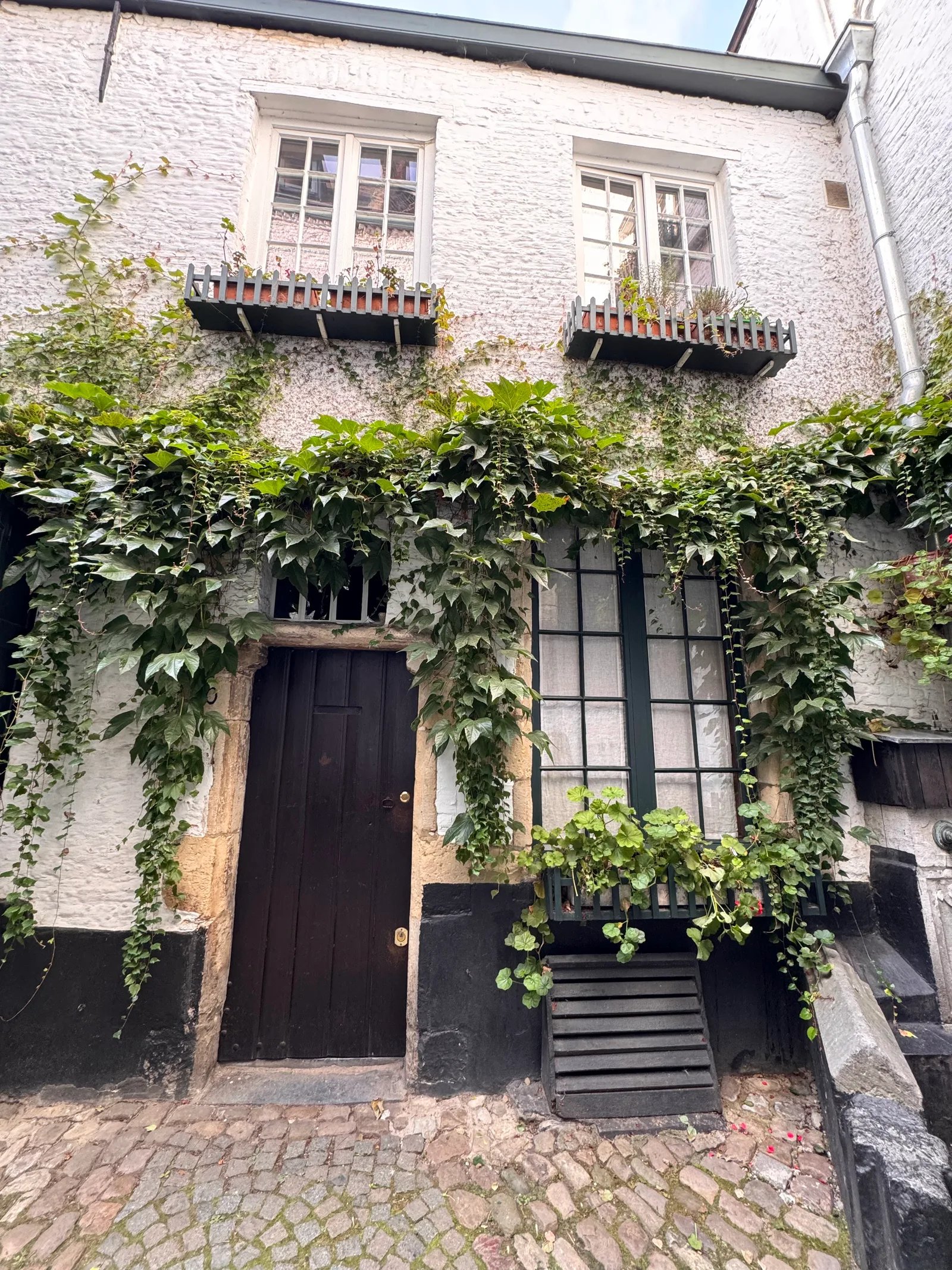 Details at Vlaaikensgang Antwerp — travel photo