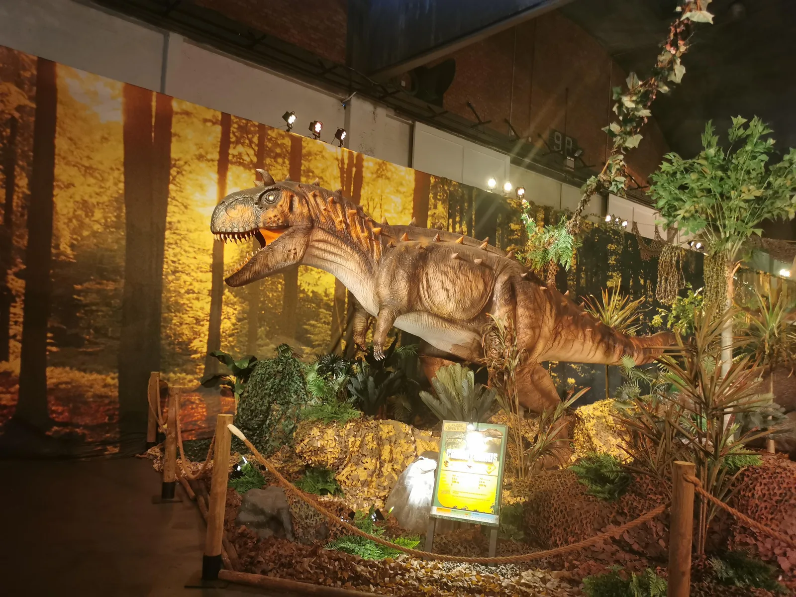 Atmosphere at Waagnatie Expo & Events Antwerp — travel photo
